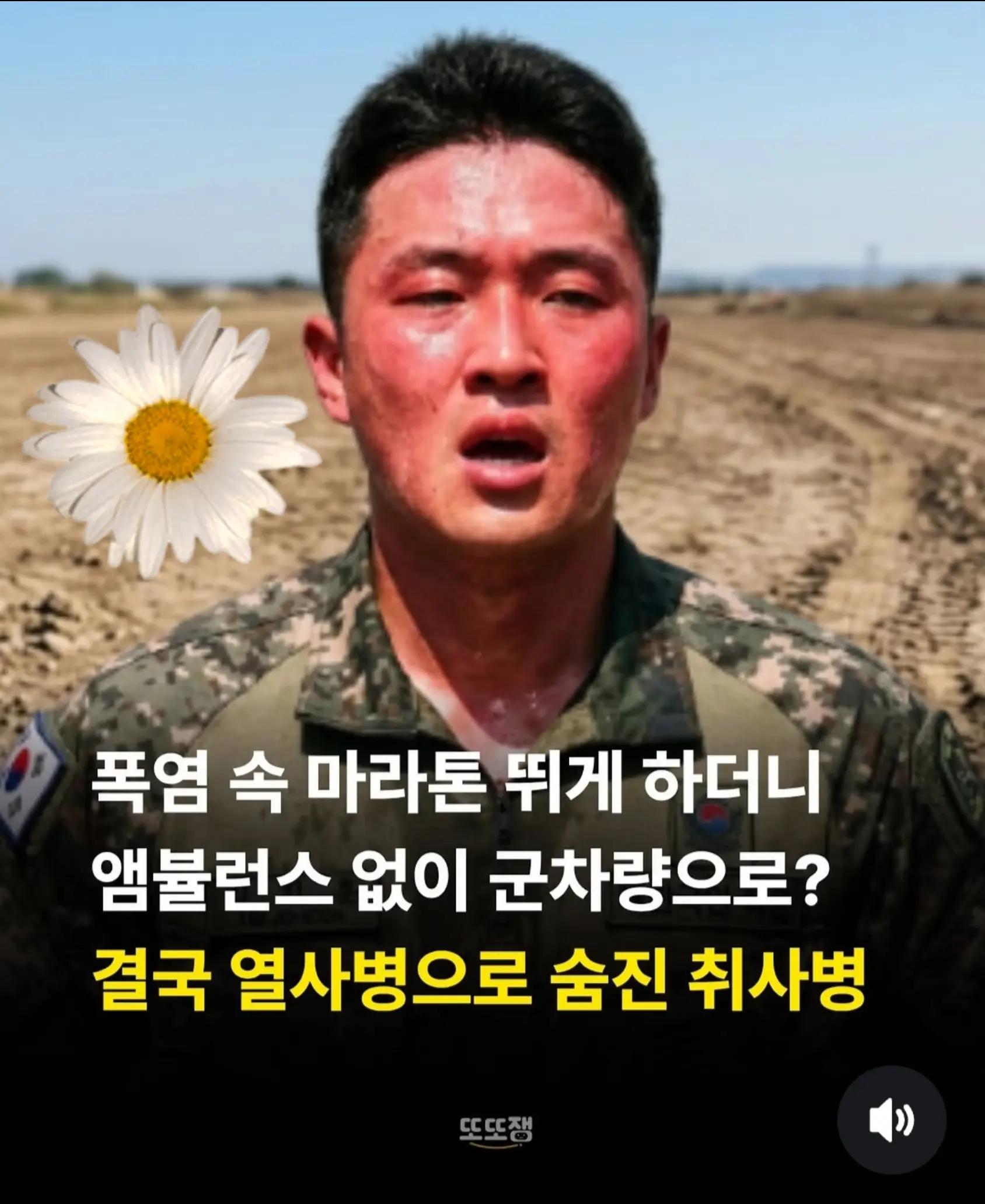 @🌺시라소니[본]🌺