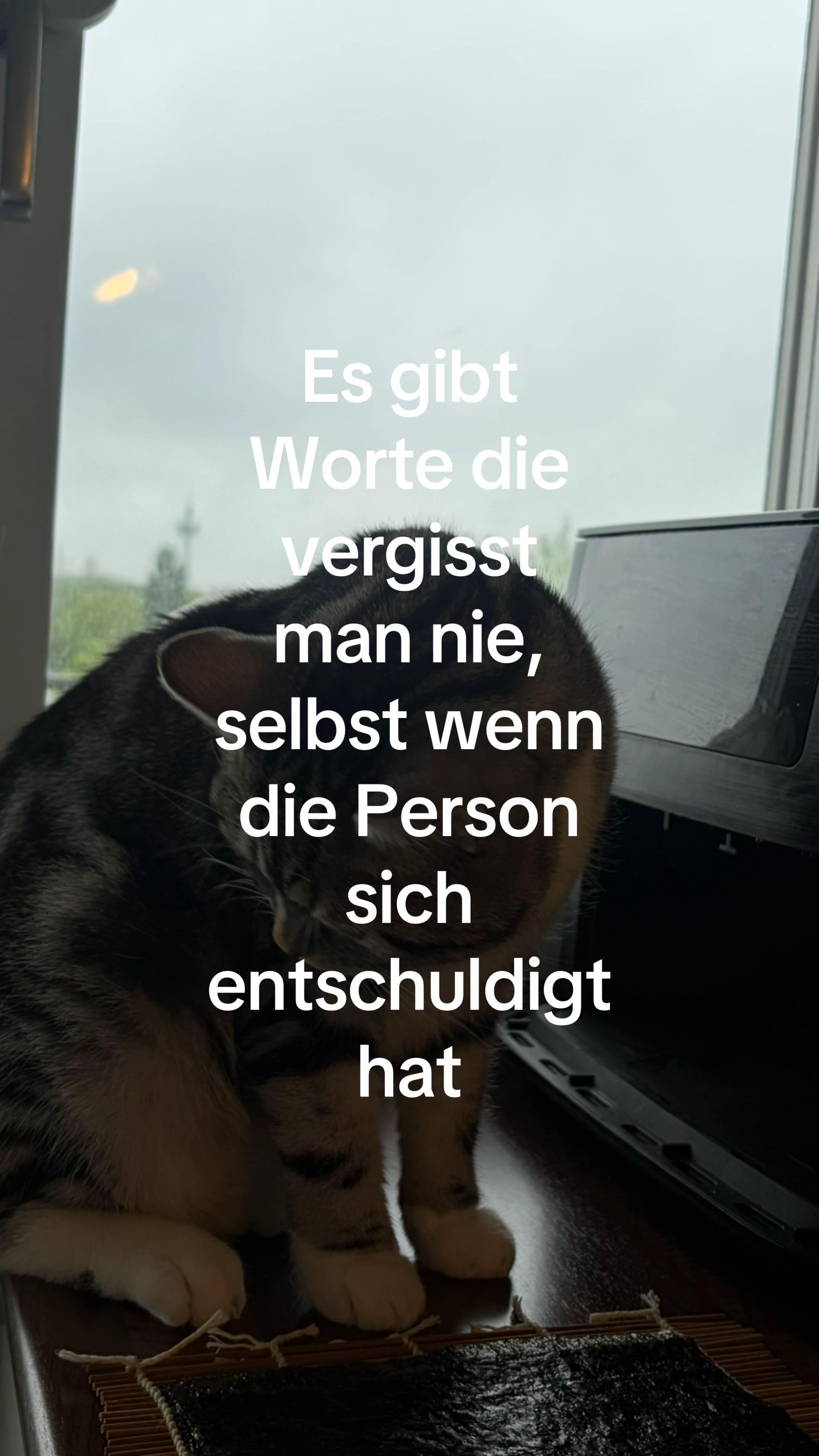 @𝐫𝐞𝐚𝐥'𝐝