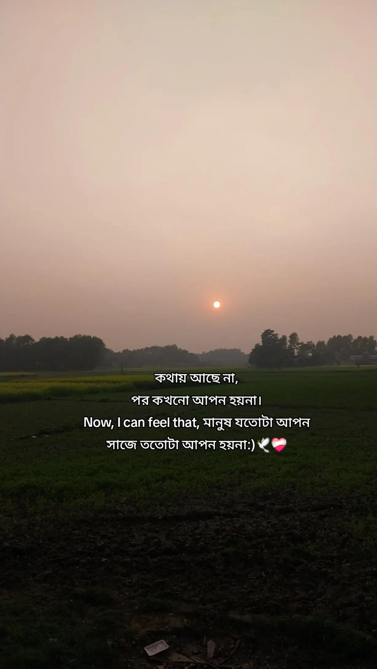 @Sanzida Nahar
