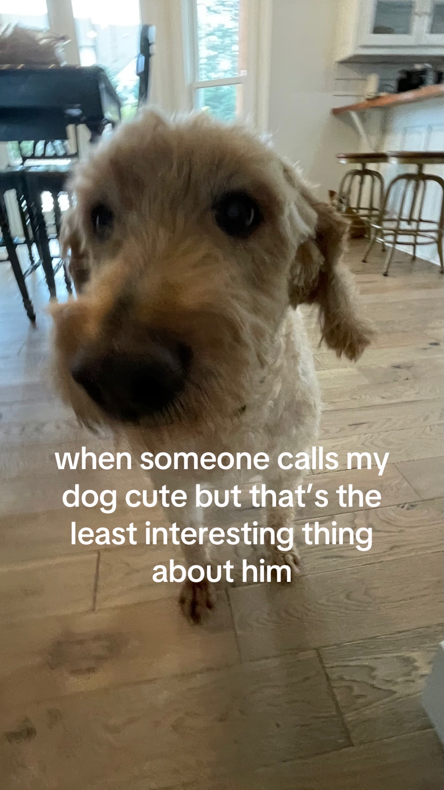 @sophia