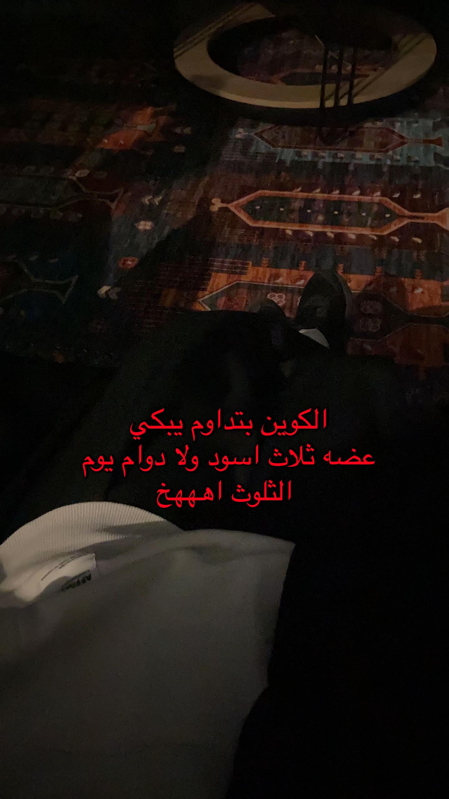 @layano_111