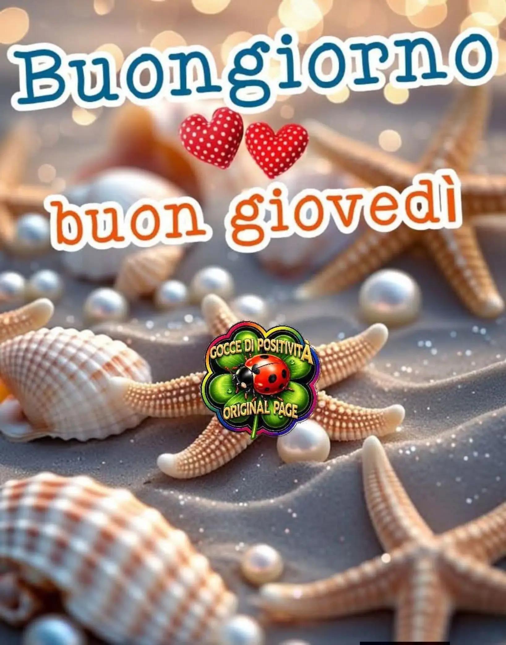 @Emilia d'avino
