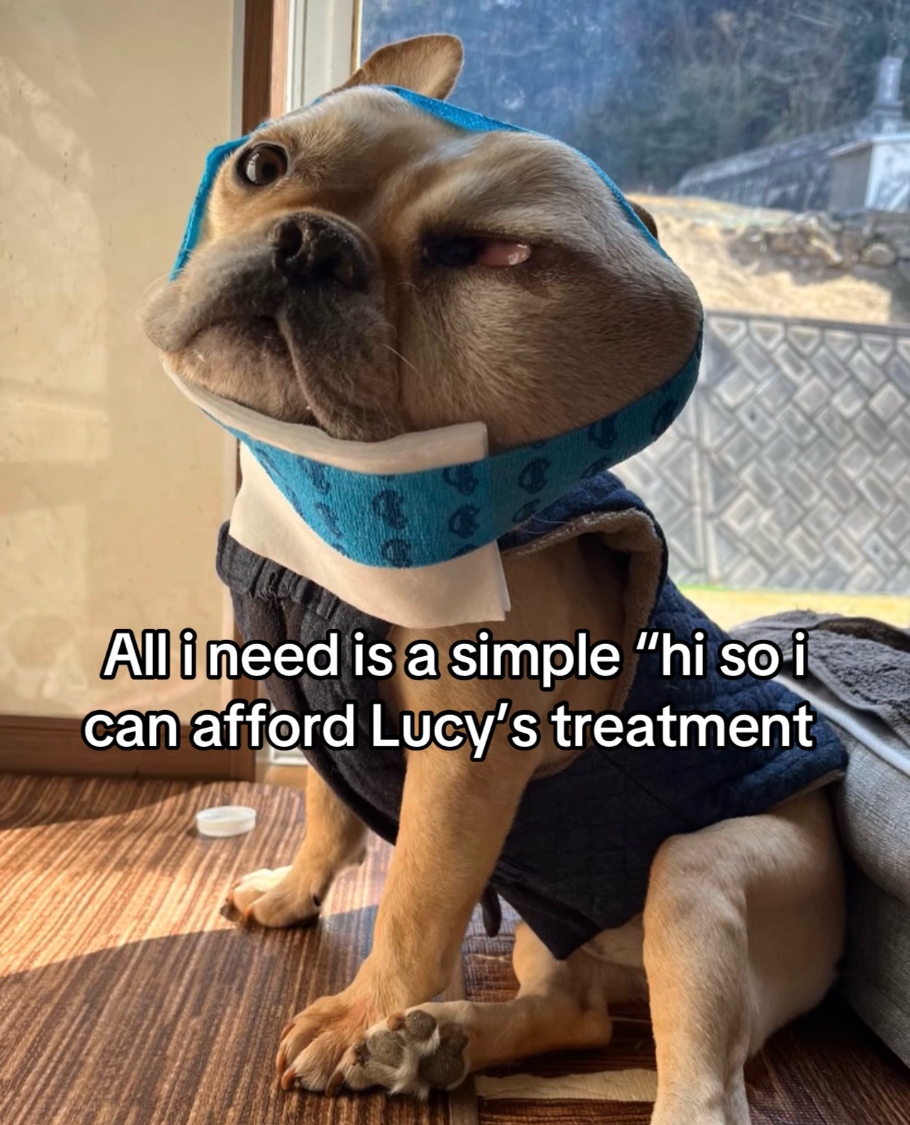@Surgery for Lucy0