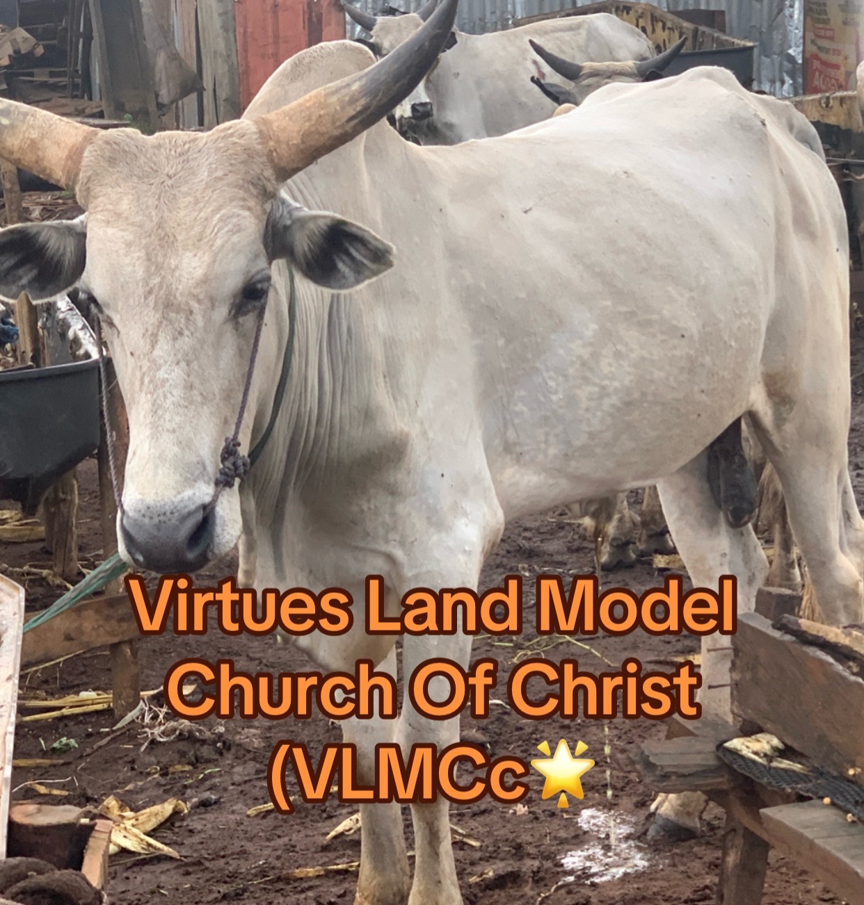 @VIRTUES LAND MODEL” VLM