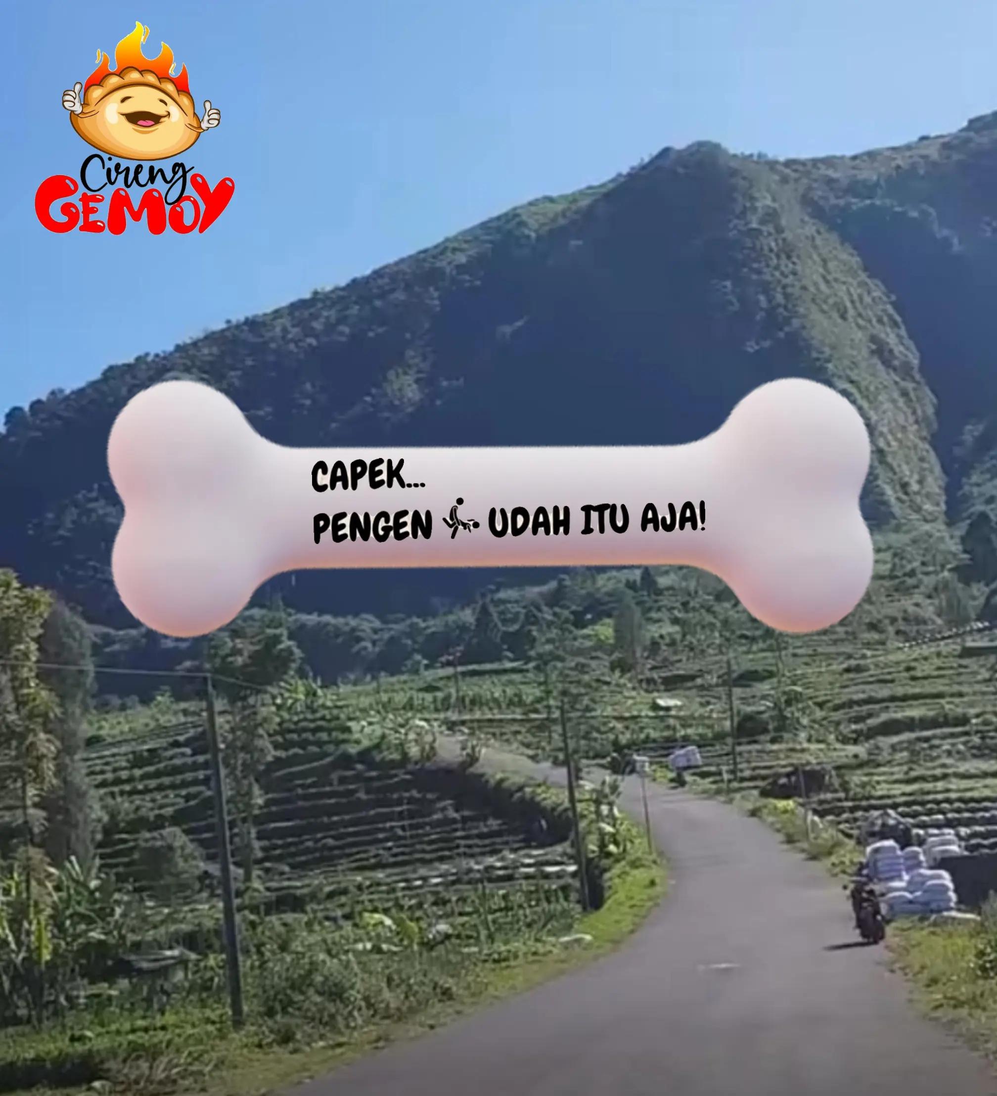 @Champlenk_Bralink