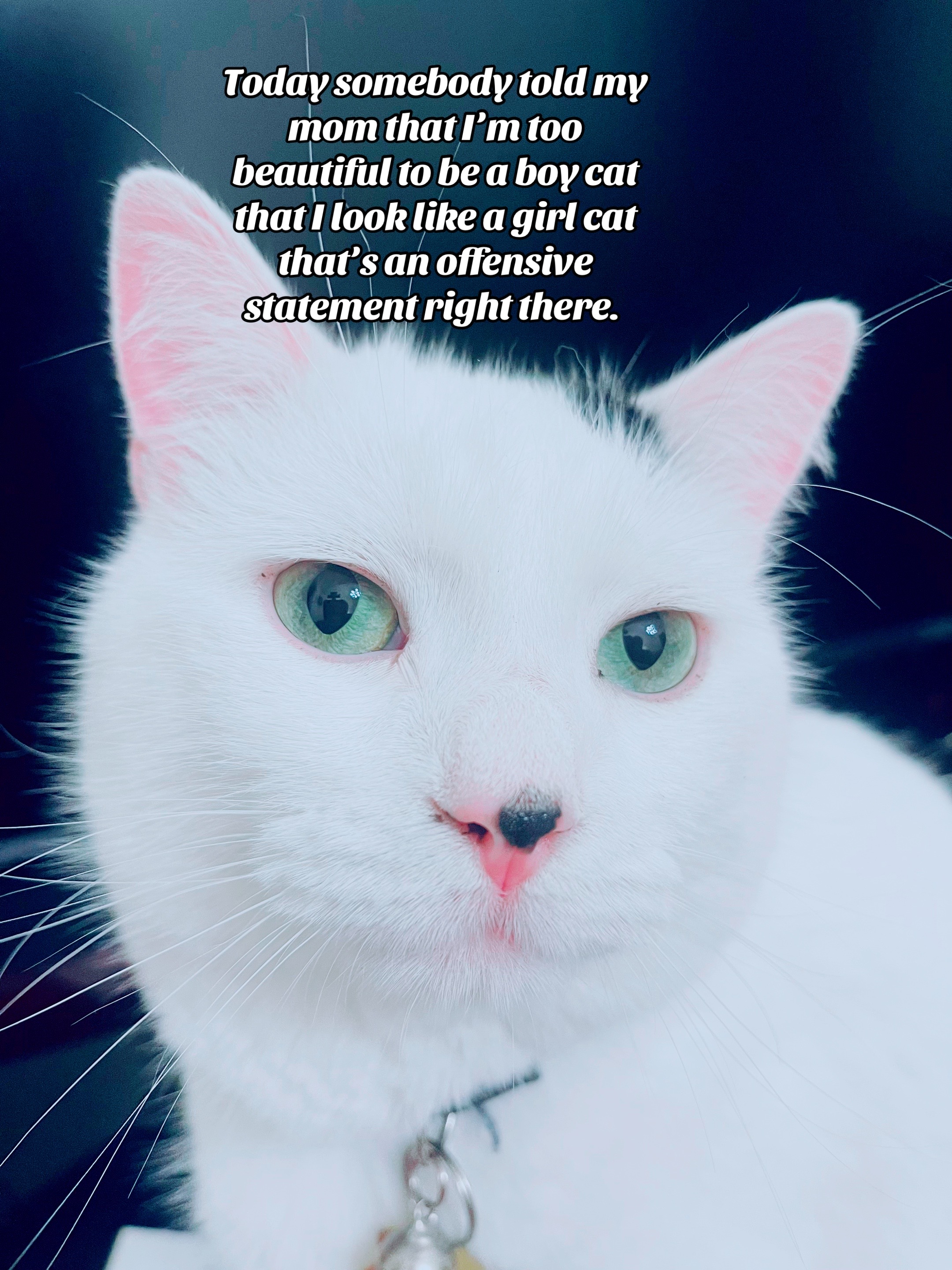 @magesticclaws