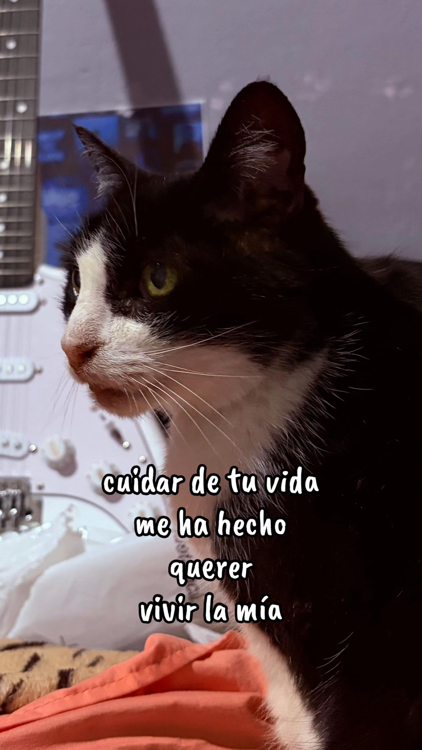 @Kilyalmiron