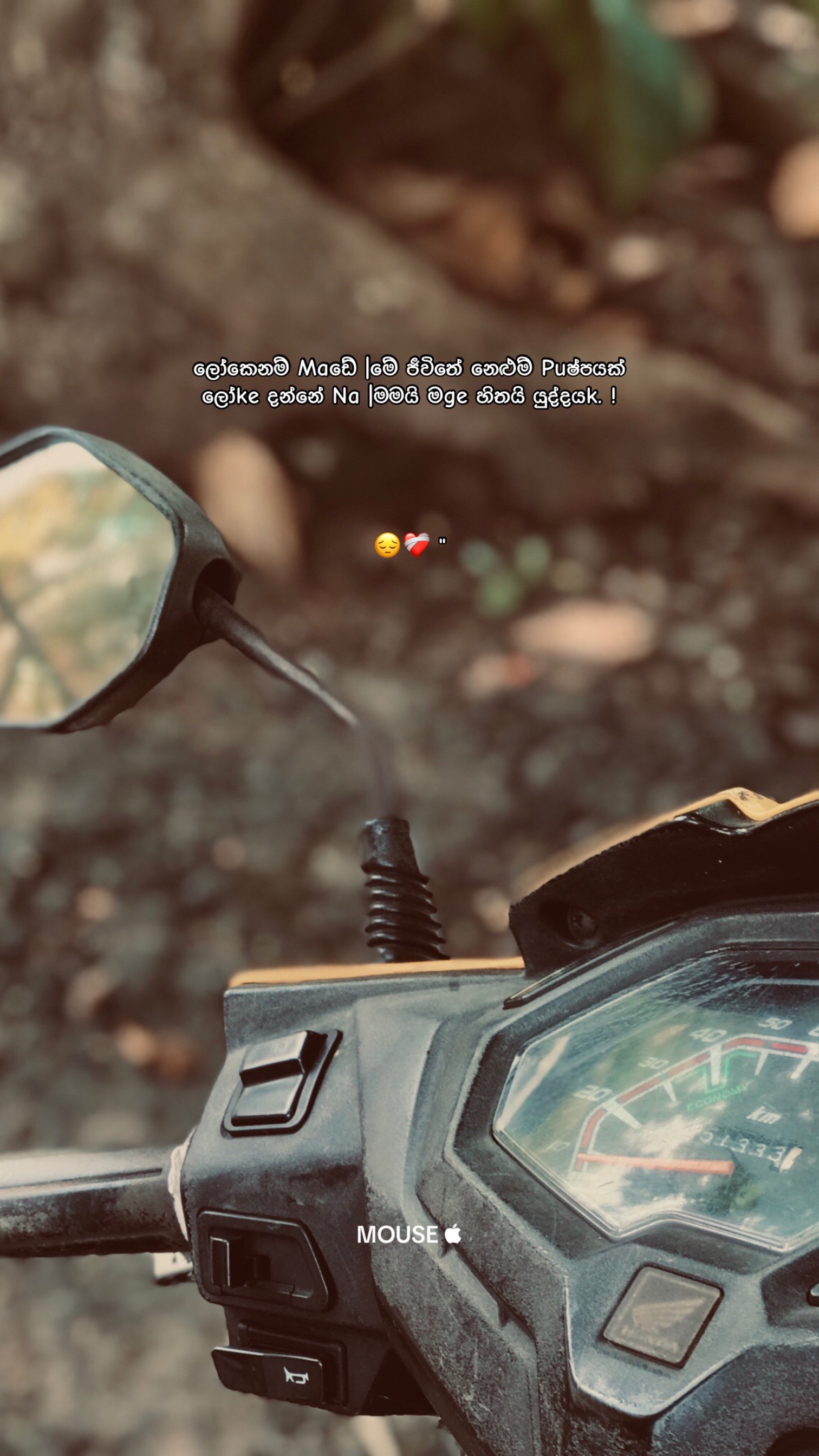 @• MOUSE "