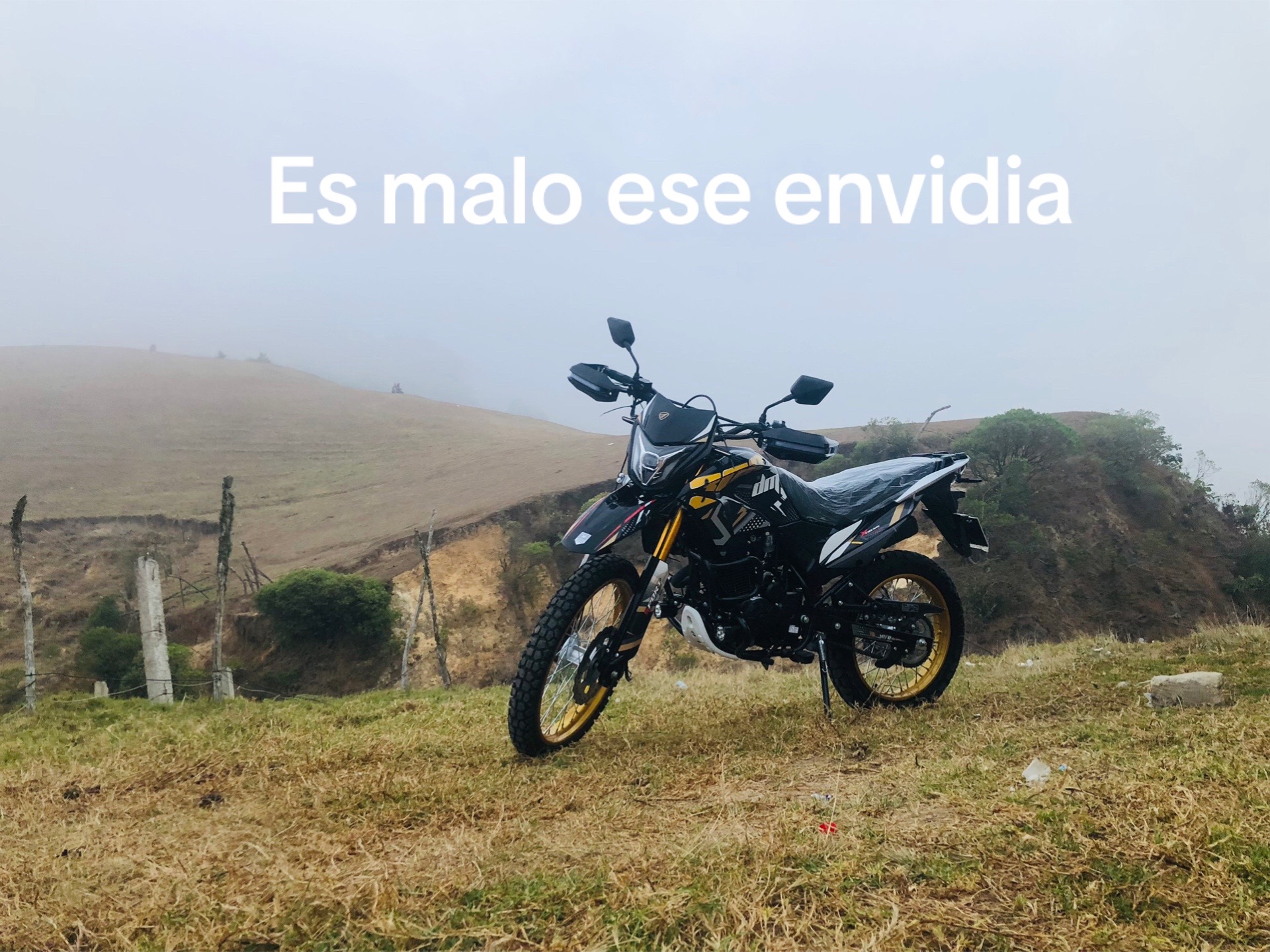 @Pablito Gómez
