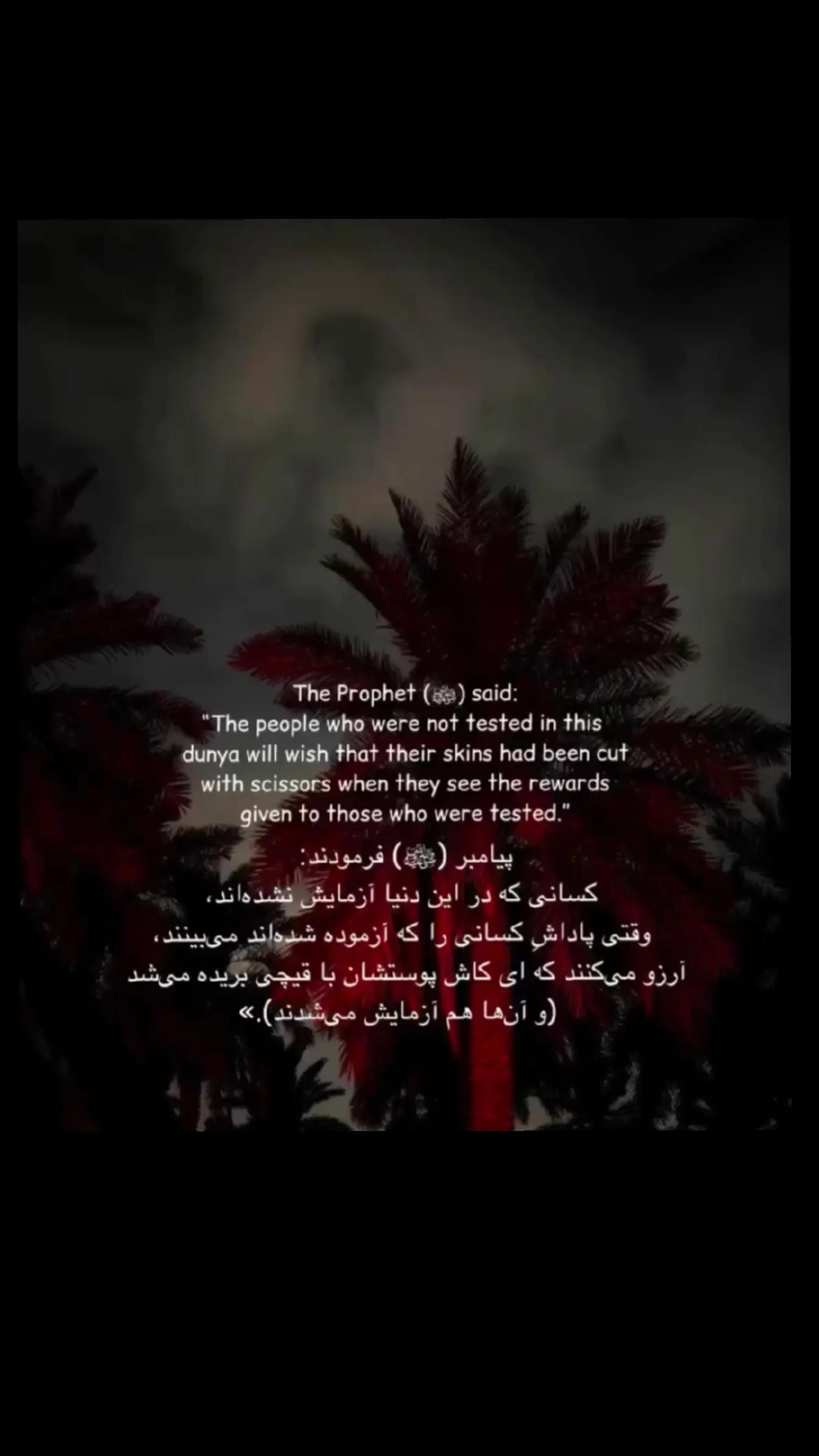 @💠گـل همیشه بـهار💠