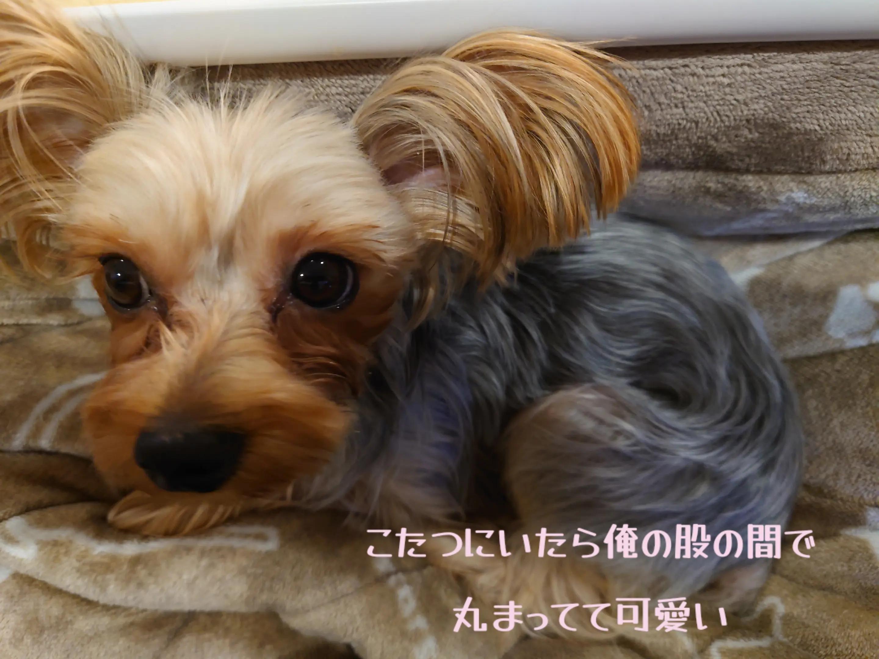 @🌏️🎀最後ののん🎀🌏️