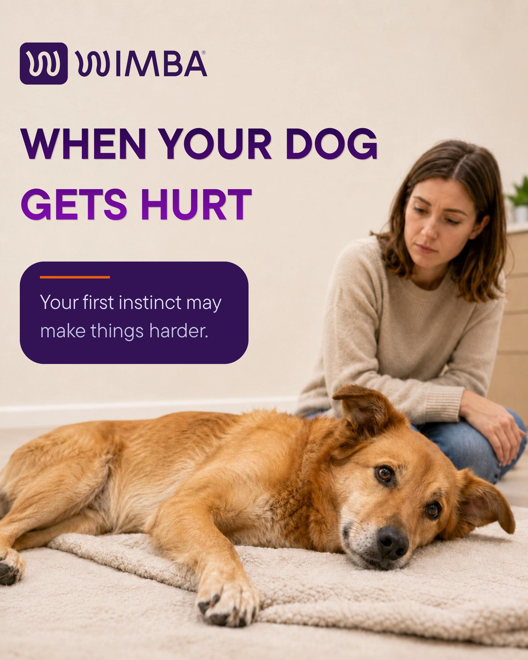 @WIMBA: Pet Orthoses