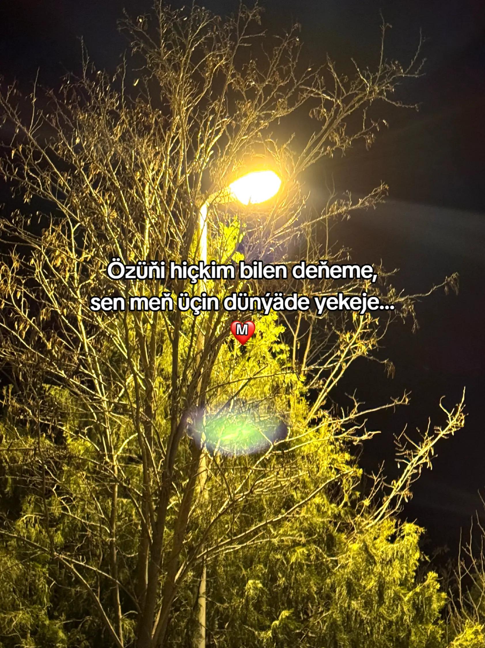 @𝙂𝙖𝙯𝙖𝙠𝙊𝙁𝙁🦈