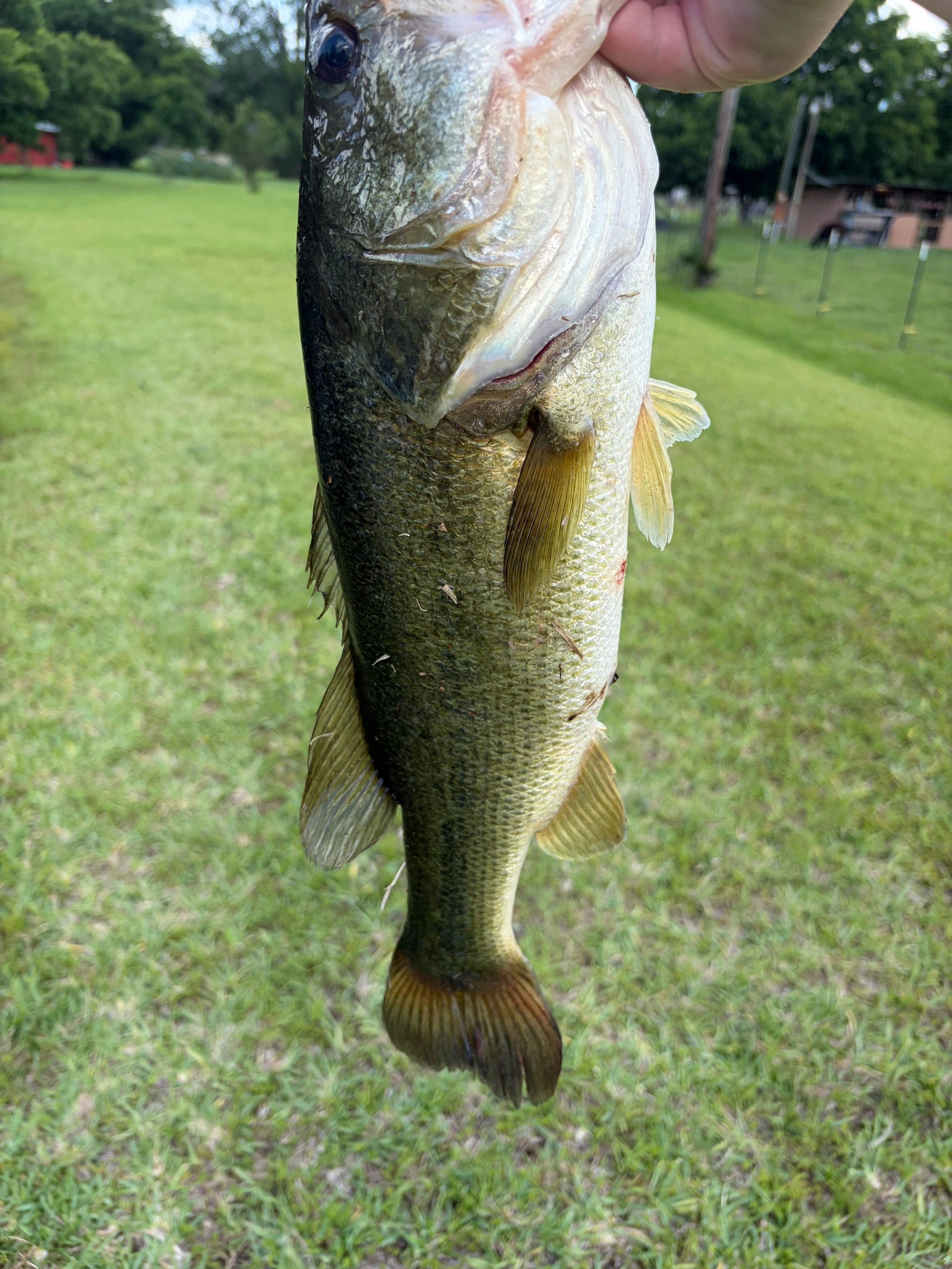 @Brody225✝️⚾️🎣⛵️
