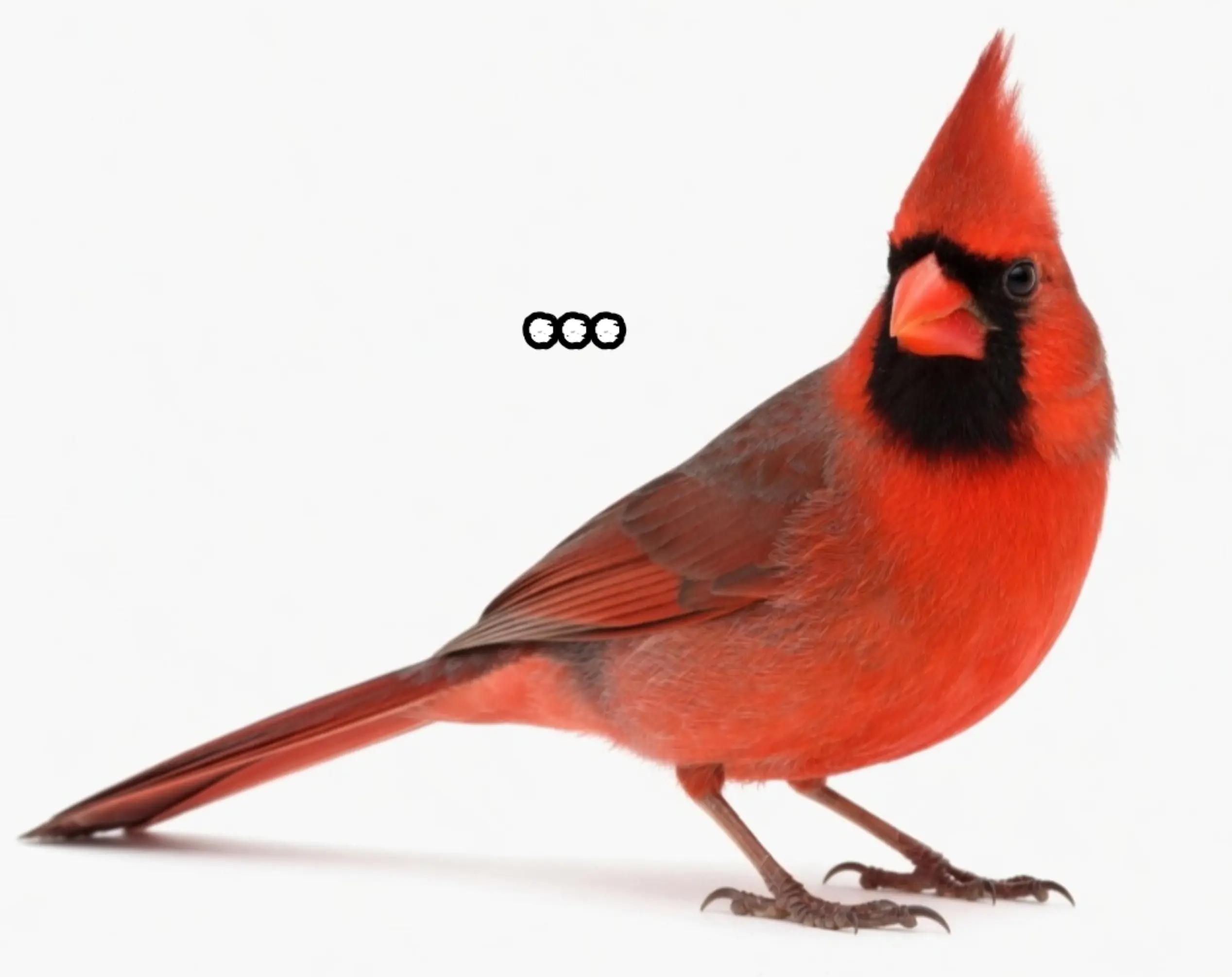 @𝗗𝗮𝗿𝗸