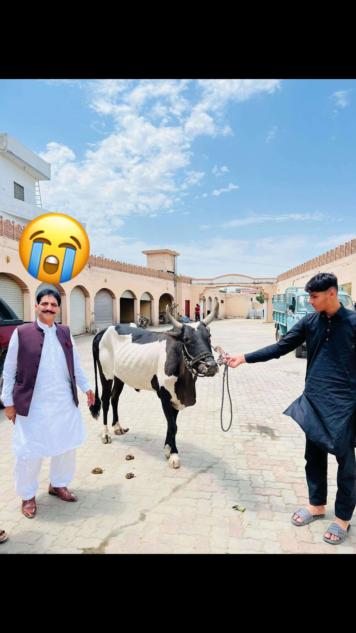 @Chaudhry jamil
