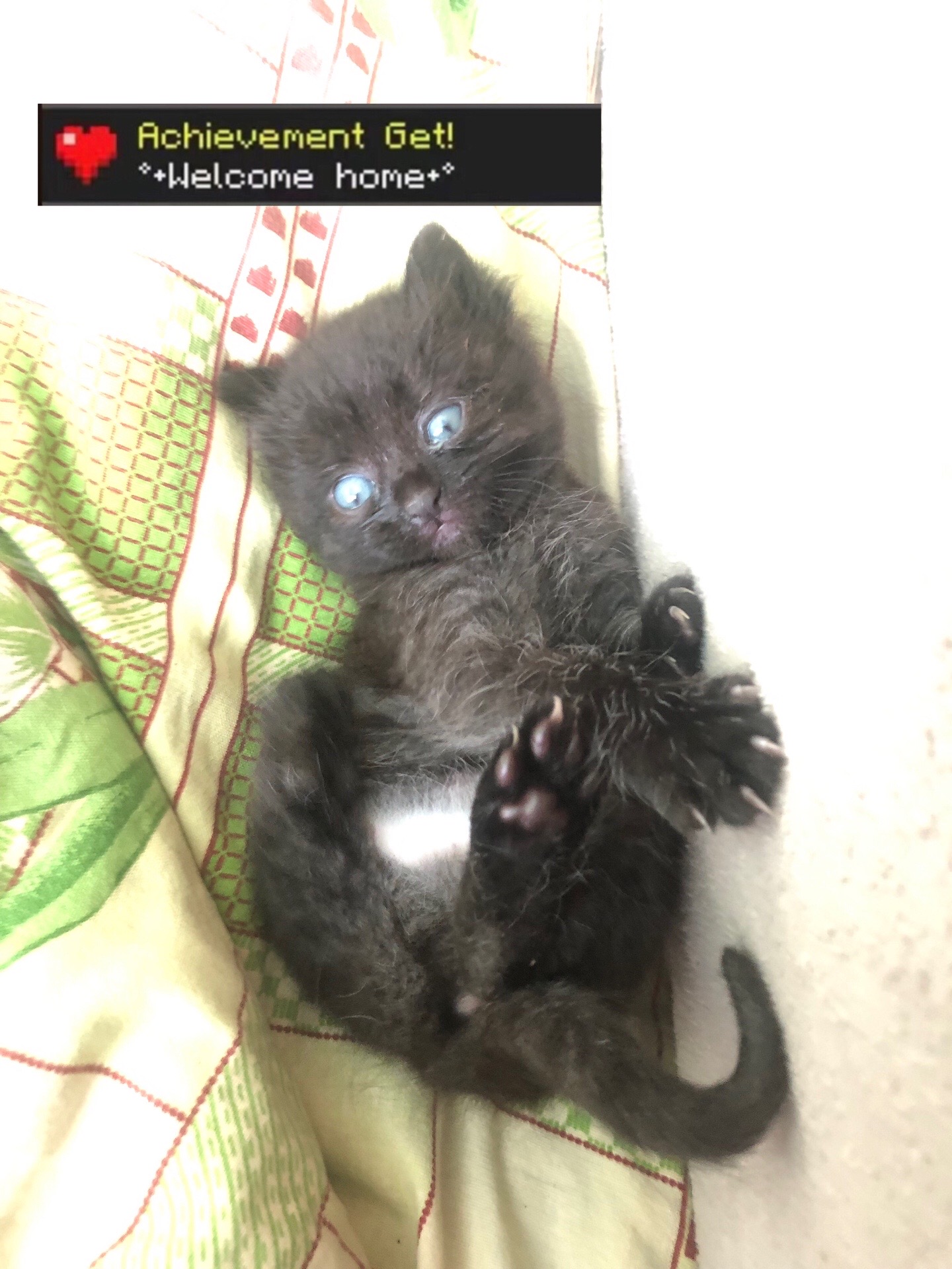 @первый снег