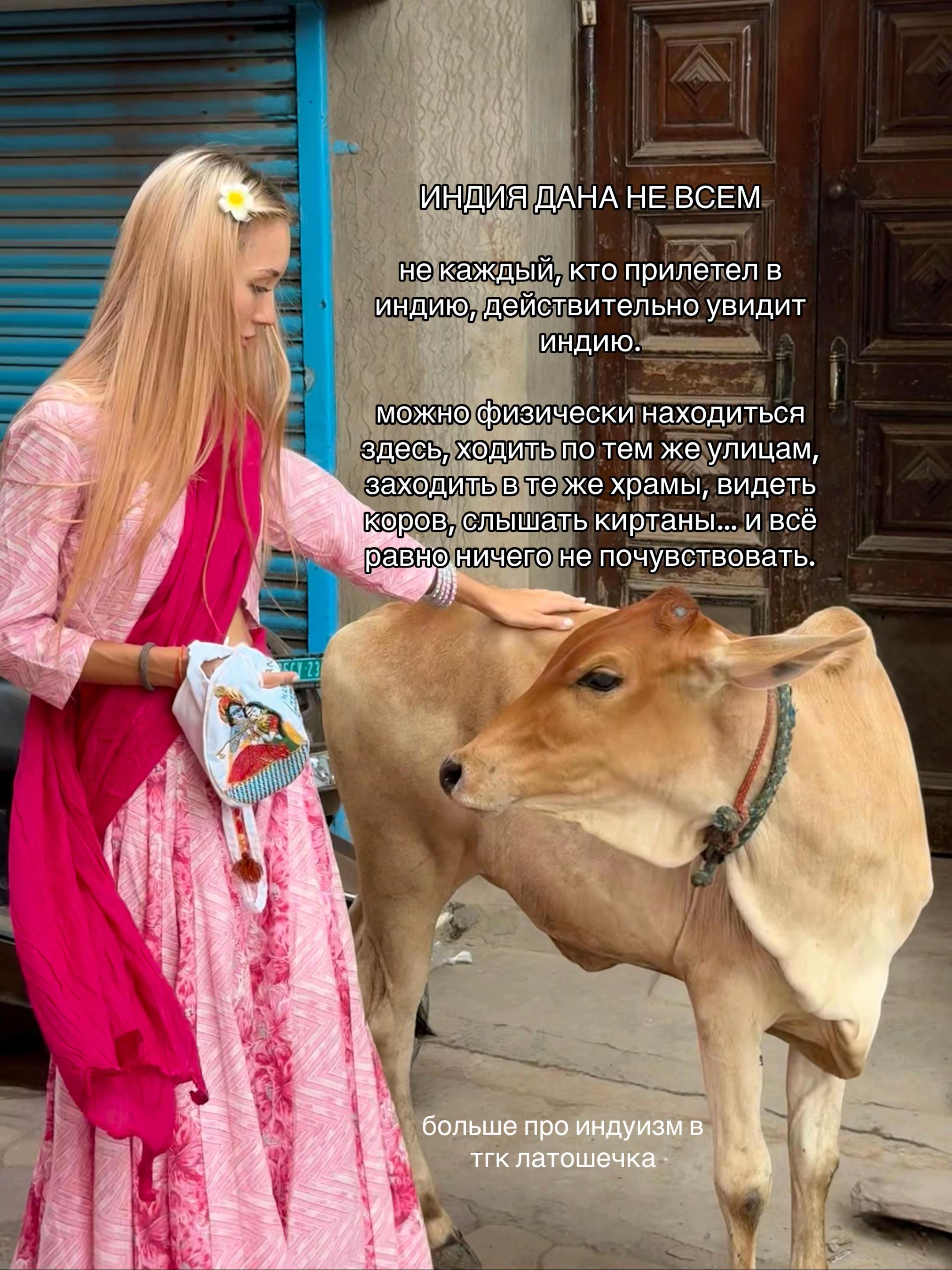 @тгк: латошечка
