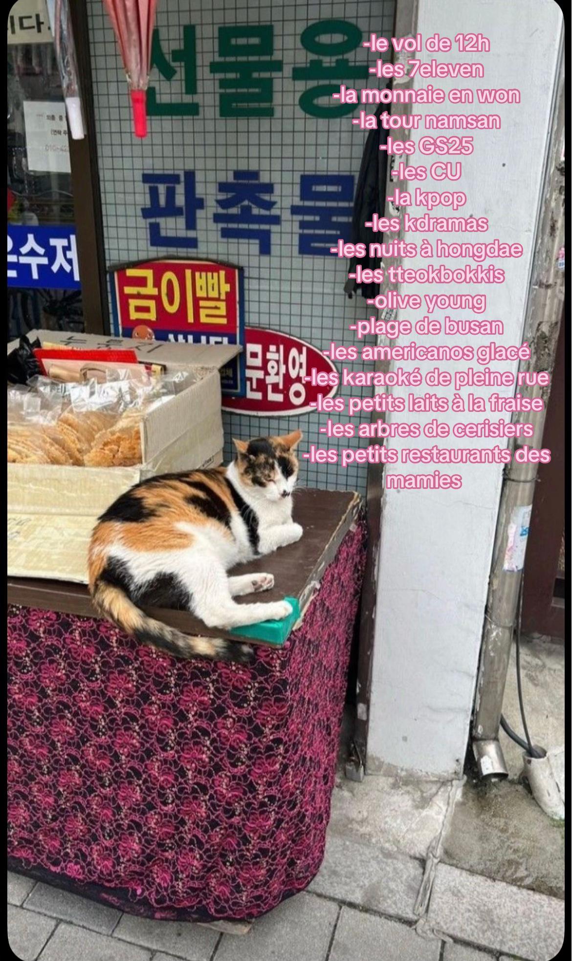 @ˑ 𓈒 𐔌 𝐌𝐢𝐦𝐢𝐢 ͡꒱ ۫
