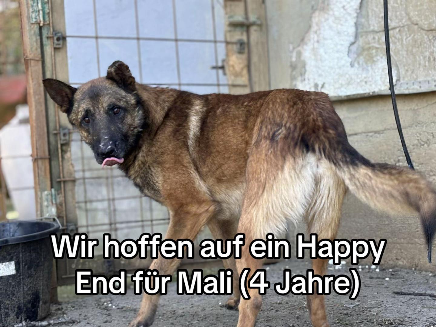 @Ankerhunde e.V.