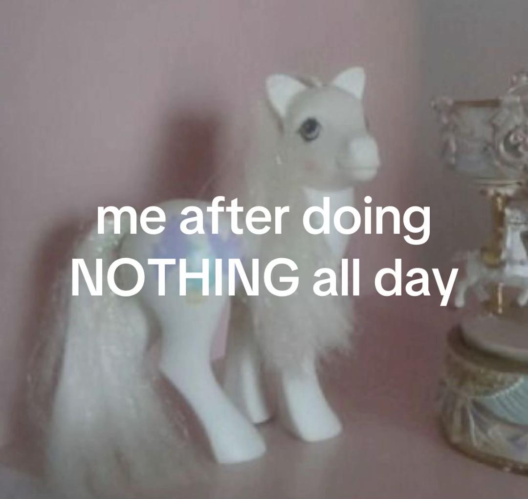 @bunny