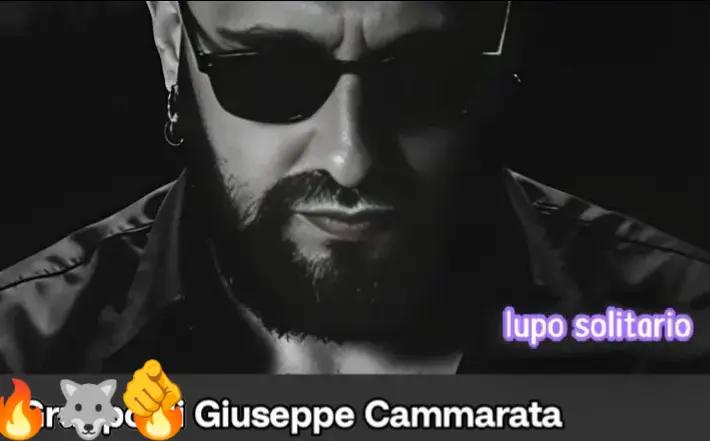 @lupo solitario 2