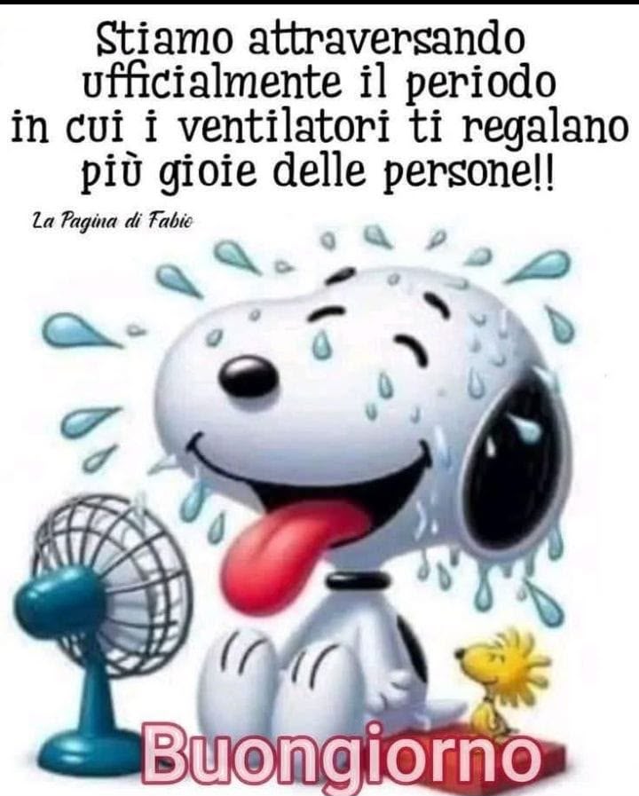 @Ivan 63 🌈🌈🌈