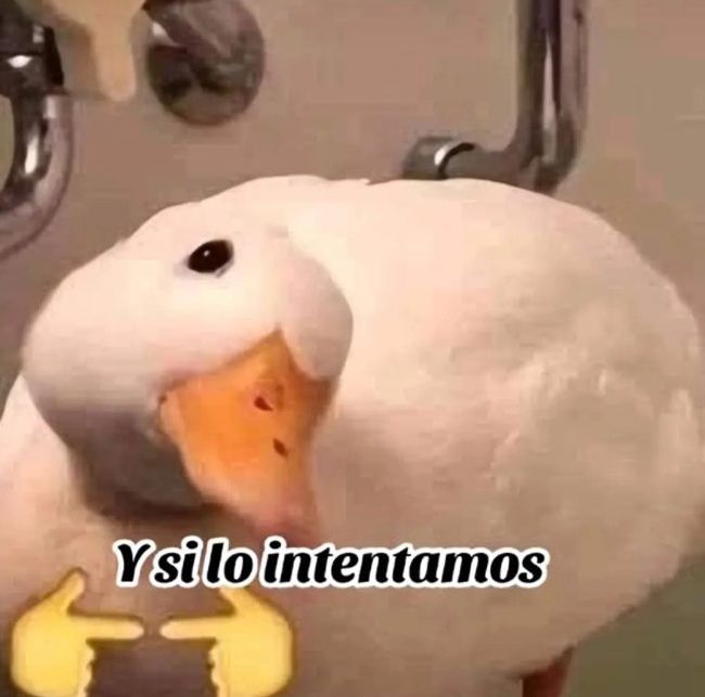 @pepitoxb