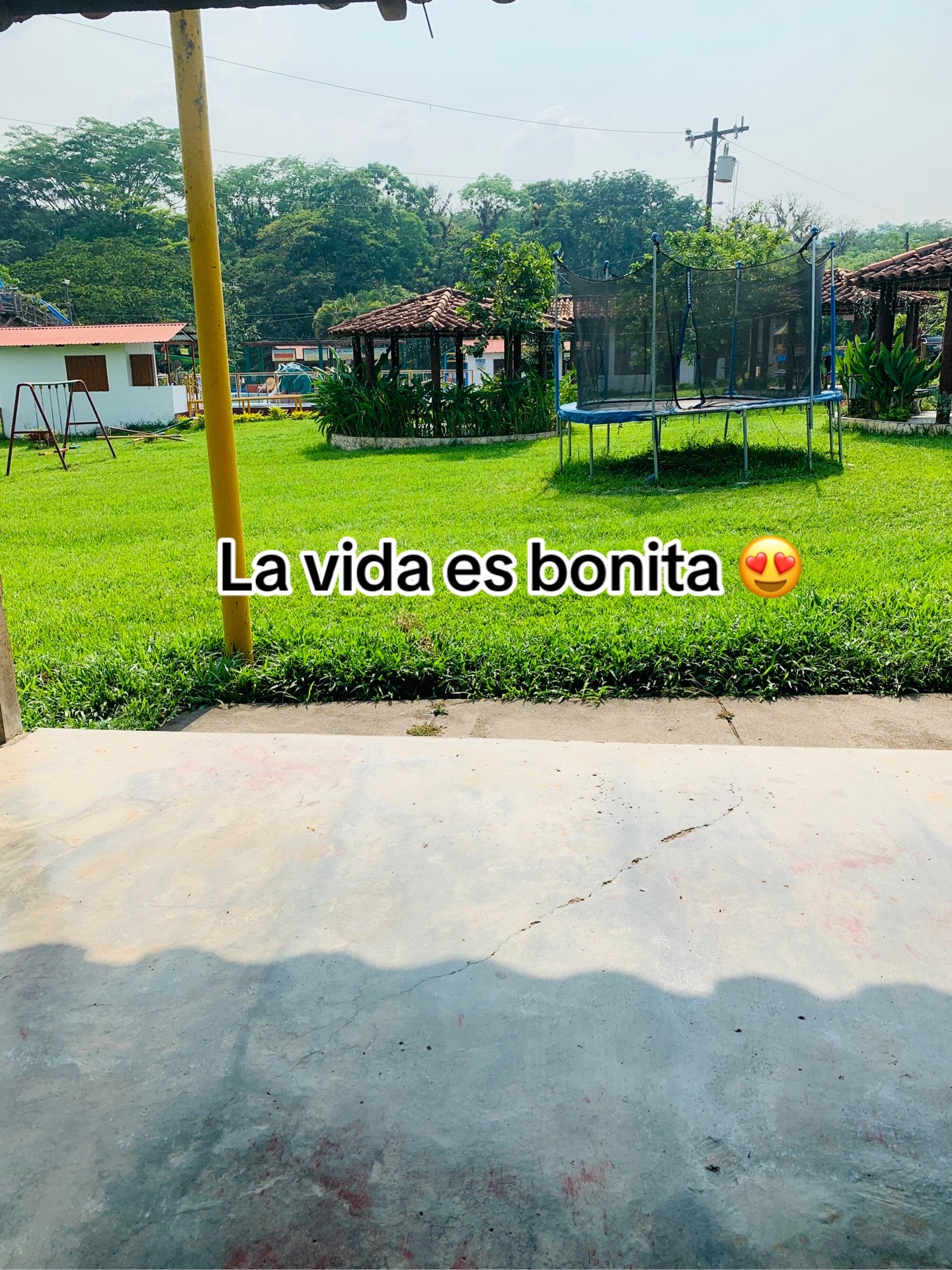 @Obeida0_0 🧋