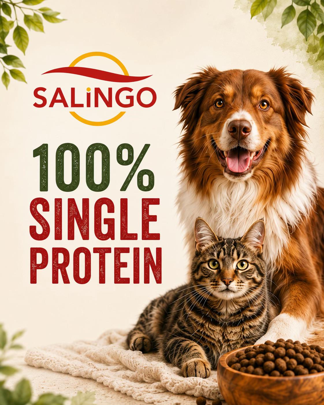 @SALiNGO