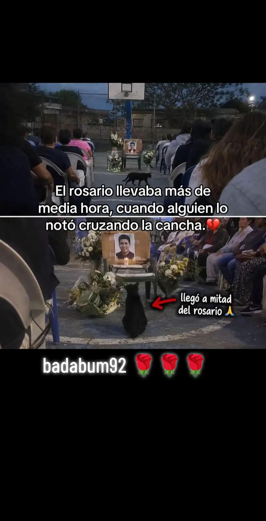 @🥀🥀🌹⚡ badabum92🇲🇽🧿🔮🎖️🏆