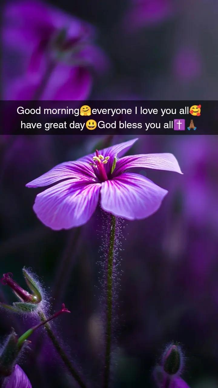 @Talisa.Blackburn🤎Queen girl🤎