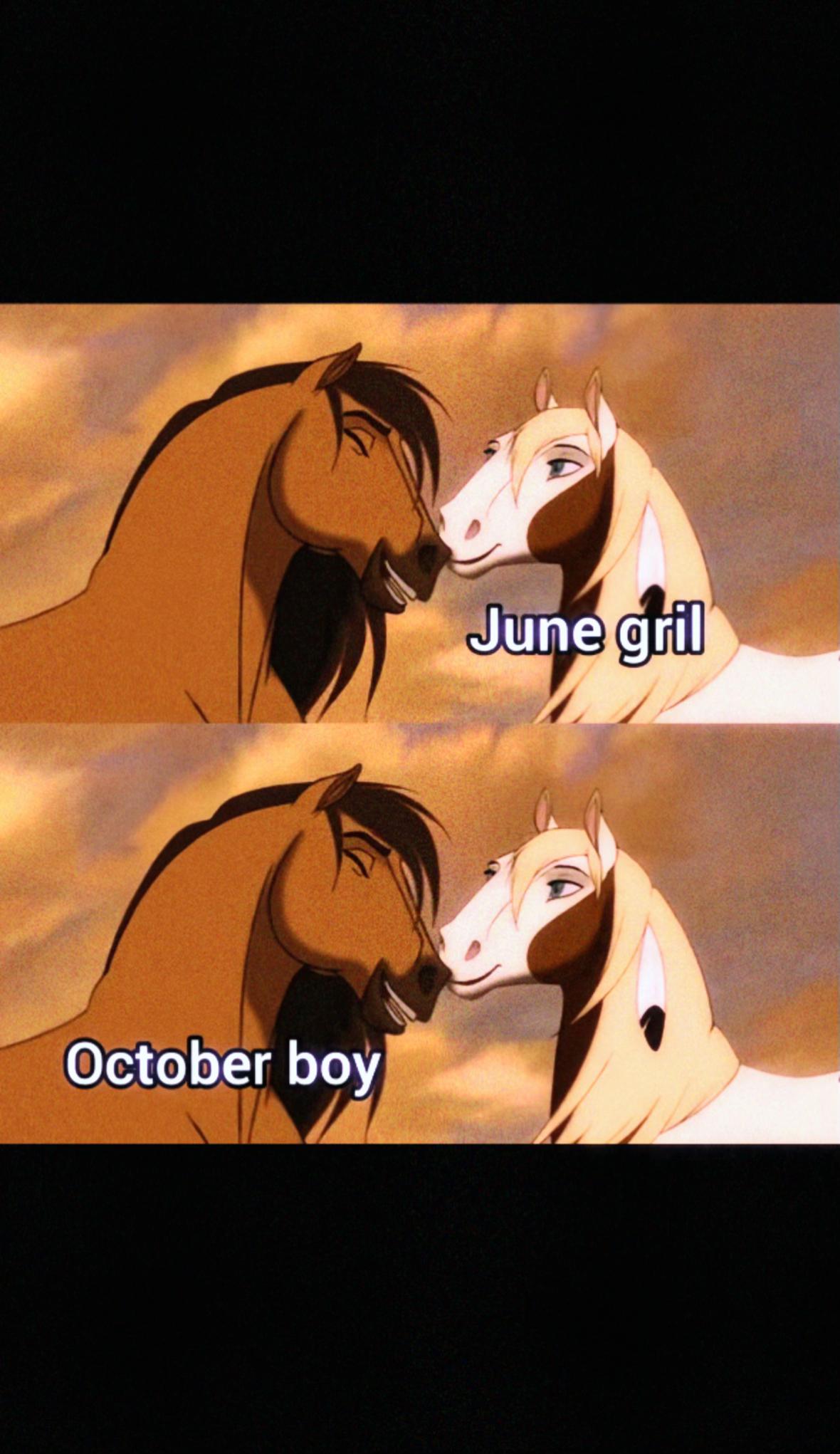 @𝐮𝐬𝐞𝐫.𝐚𝟏𝟔