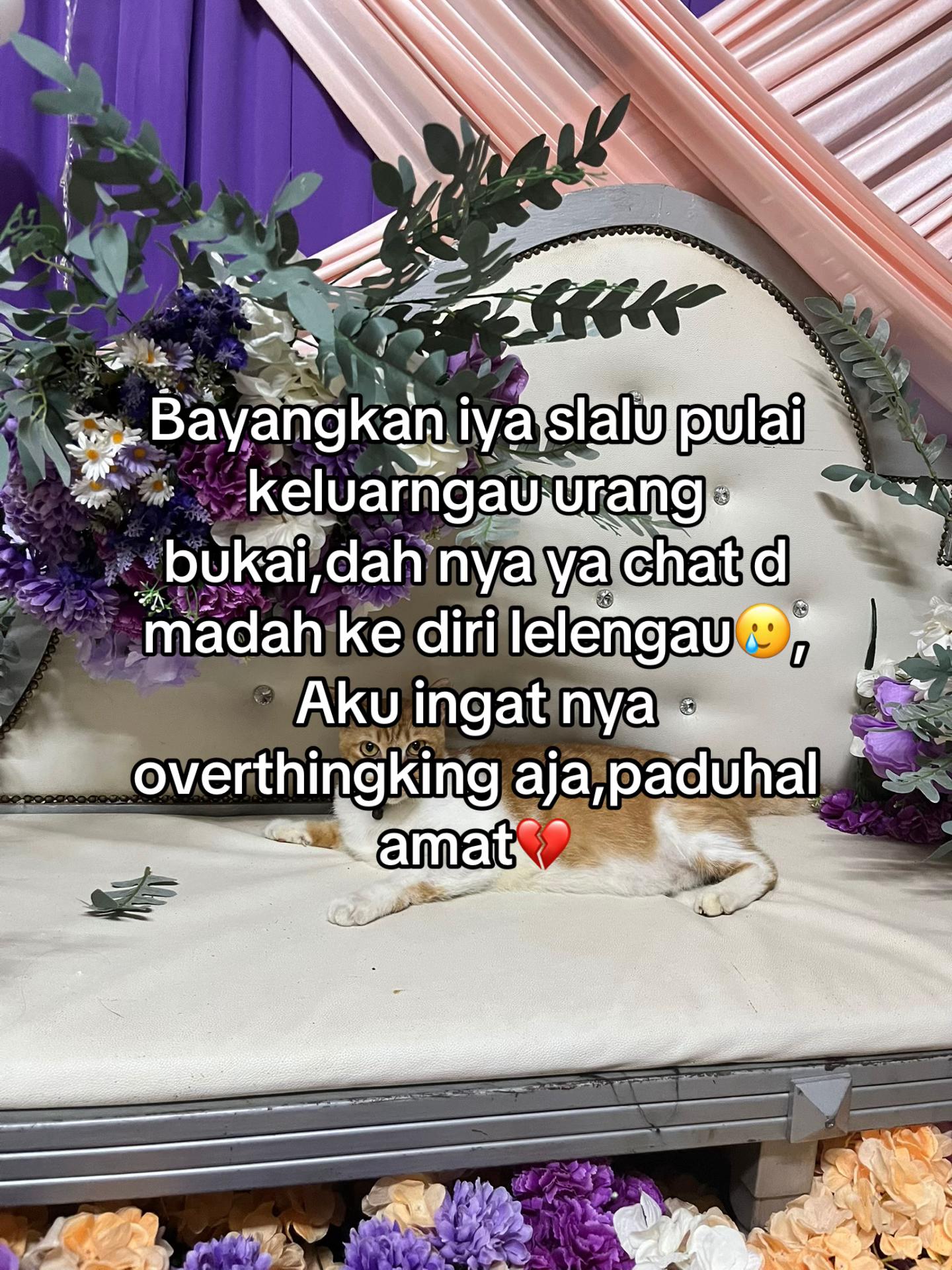 @erorr:)