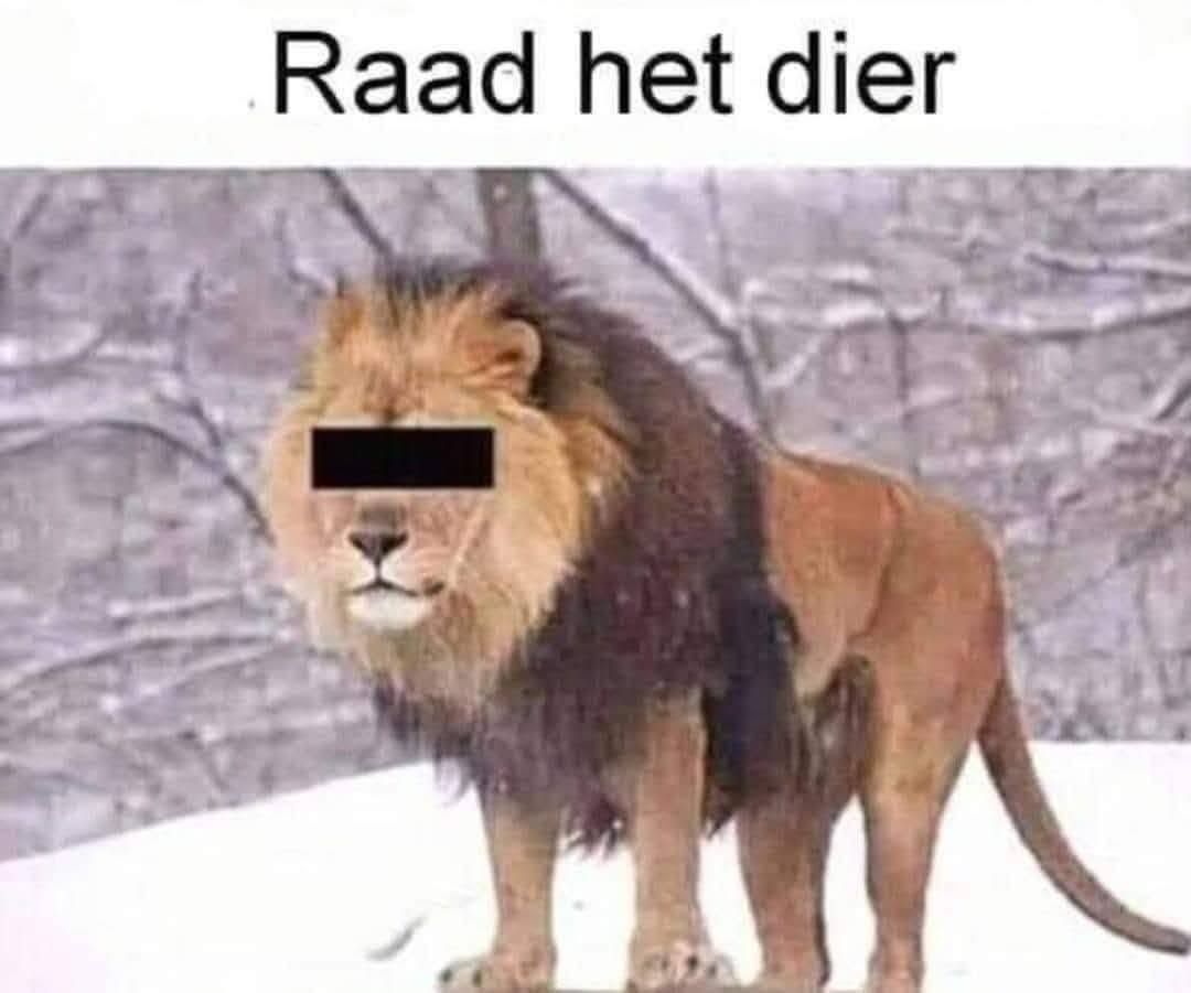 @𝕭𝖆𝖗𝖙𝖏𝖚𝖍𝖍𝖍