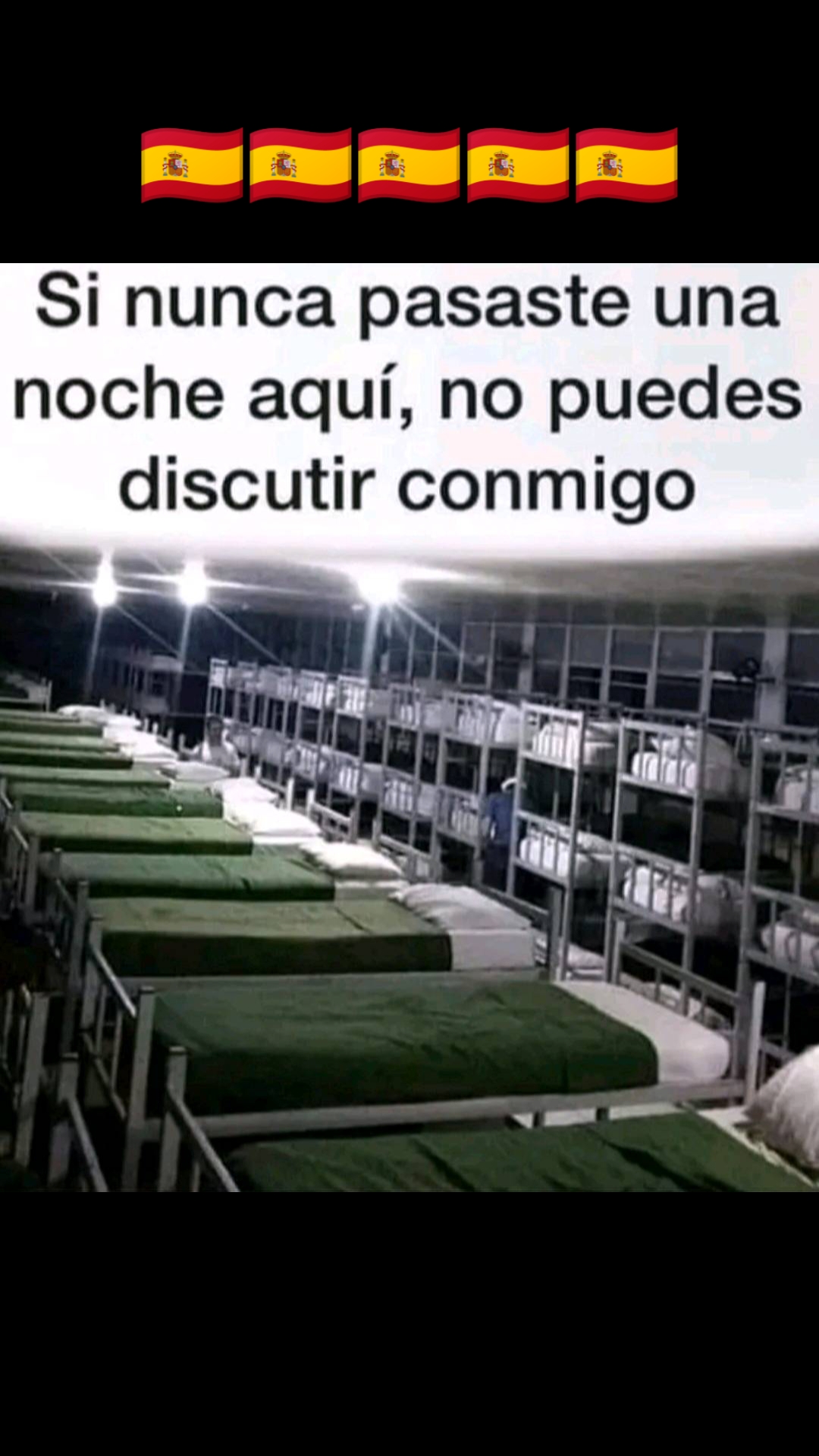 @El Bicho 🕷️