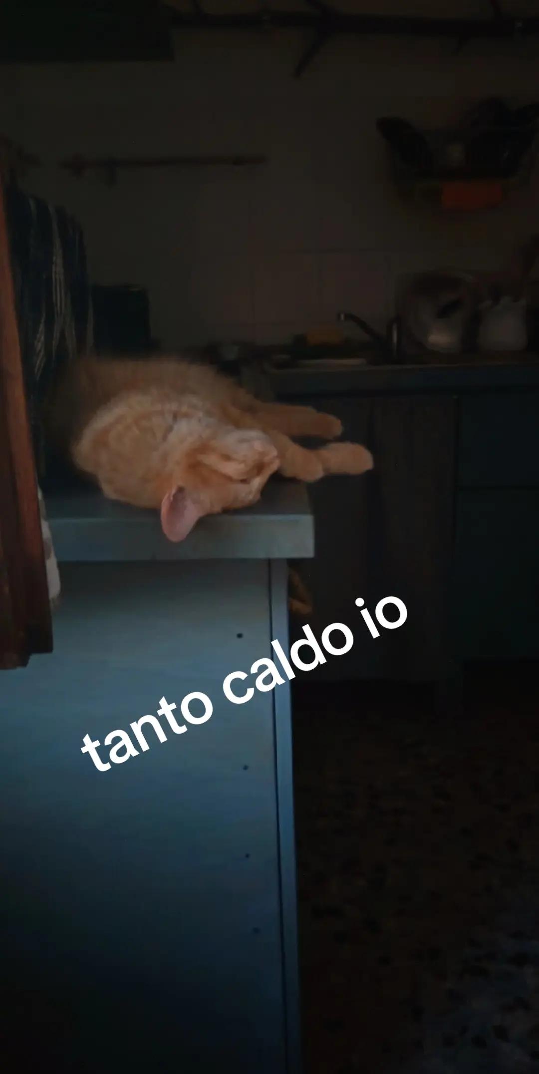 @🖤Lupa🖤