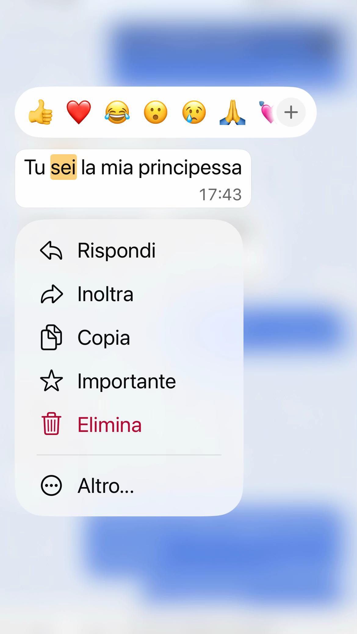 @sofia