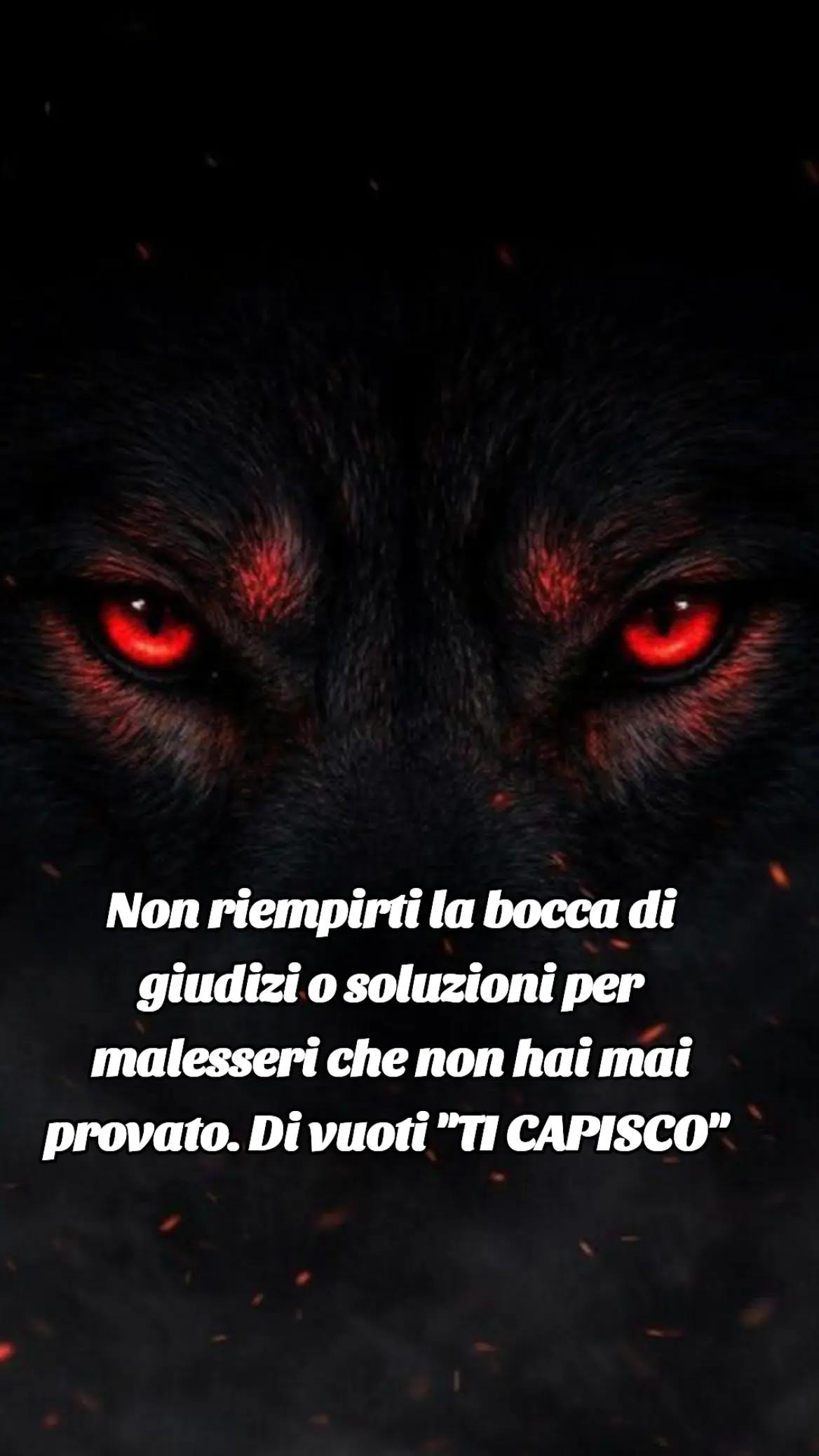 @🐺🗽Crazy Wolf.