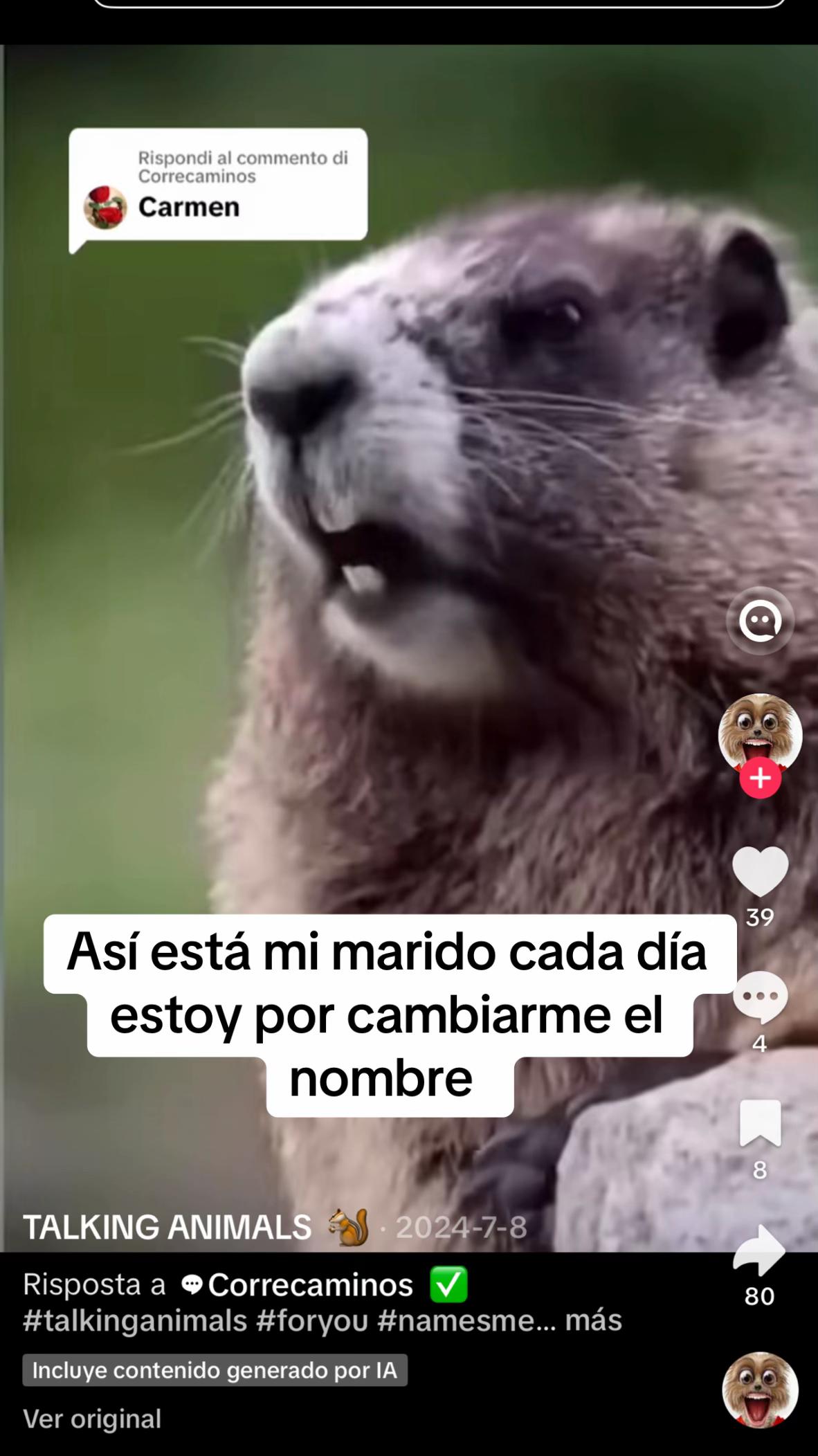 @Carmen Tomás 13