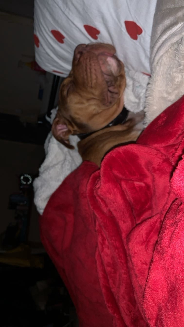 @Les aventures de Lya