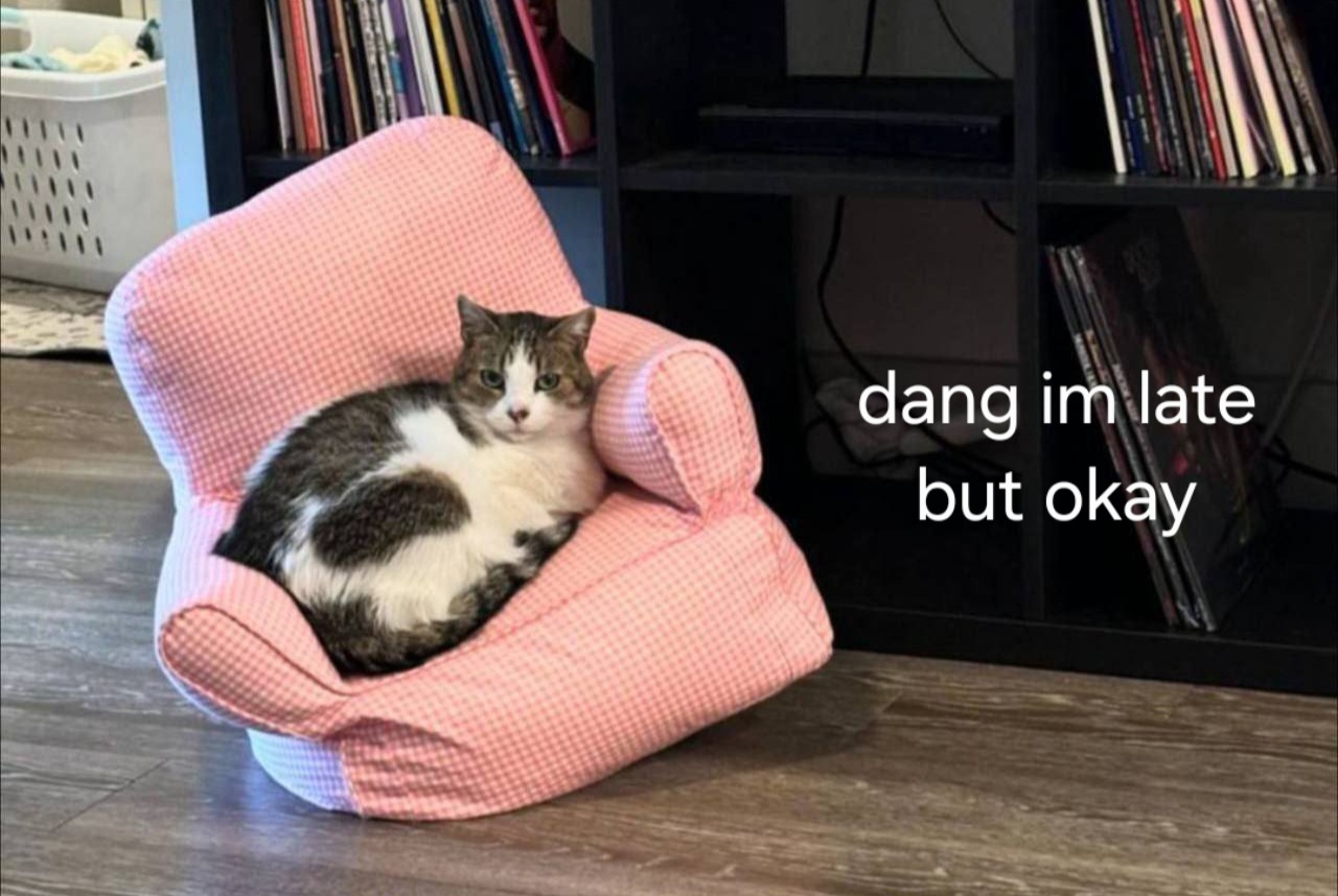 @CatSwoppr