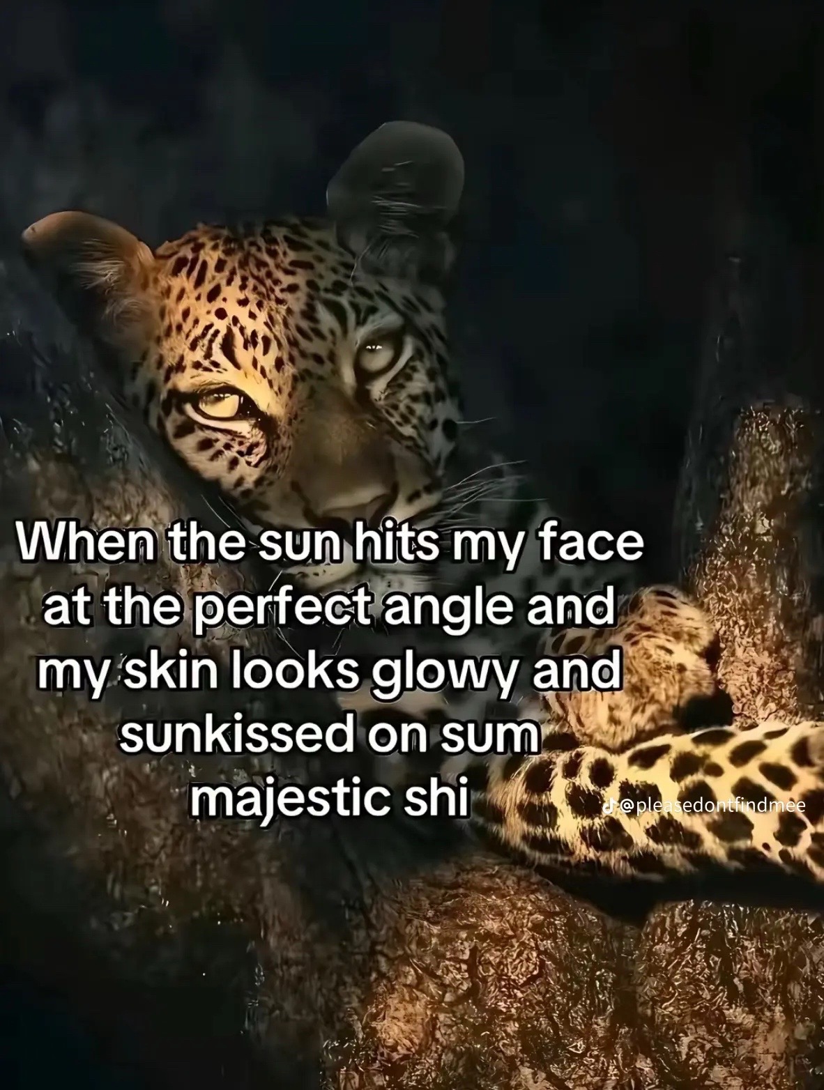 @Spiderleggyy ðª¶