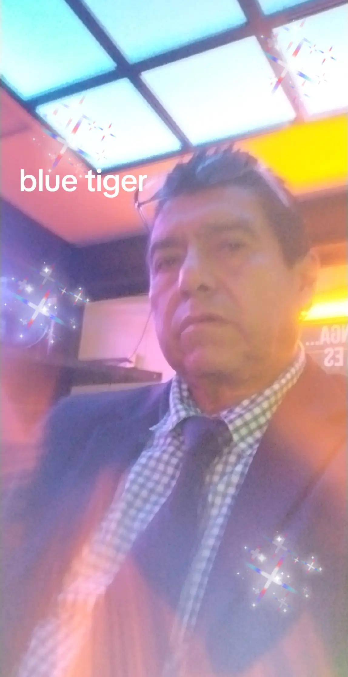 @bluetiger