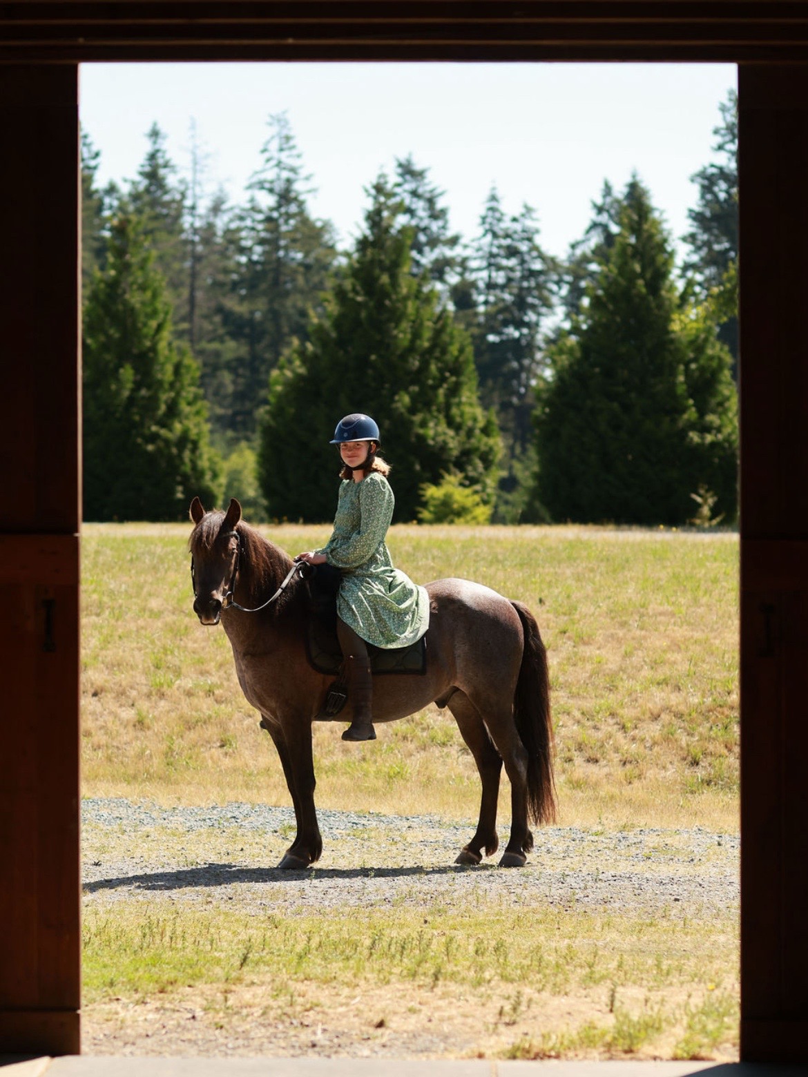 @Viv’s Ponies