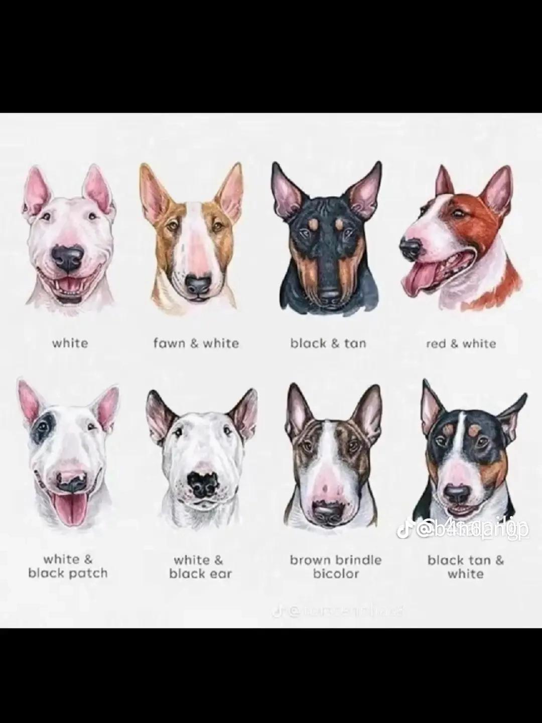 @X⁵⁰⁰&trade;👾⚡🐾