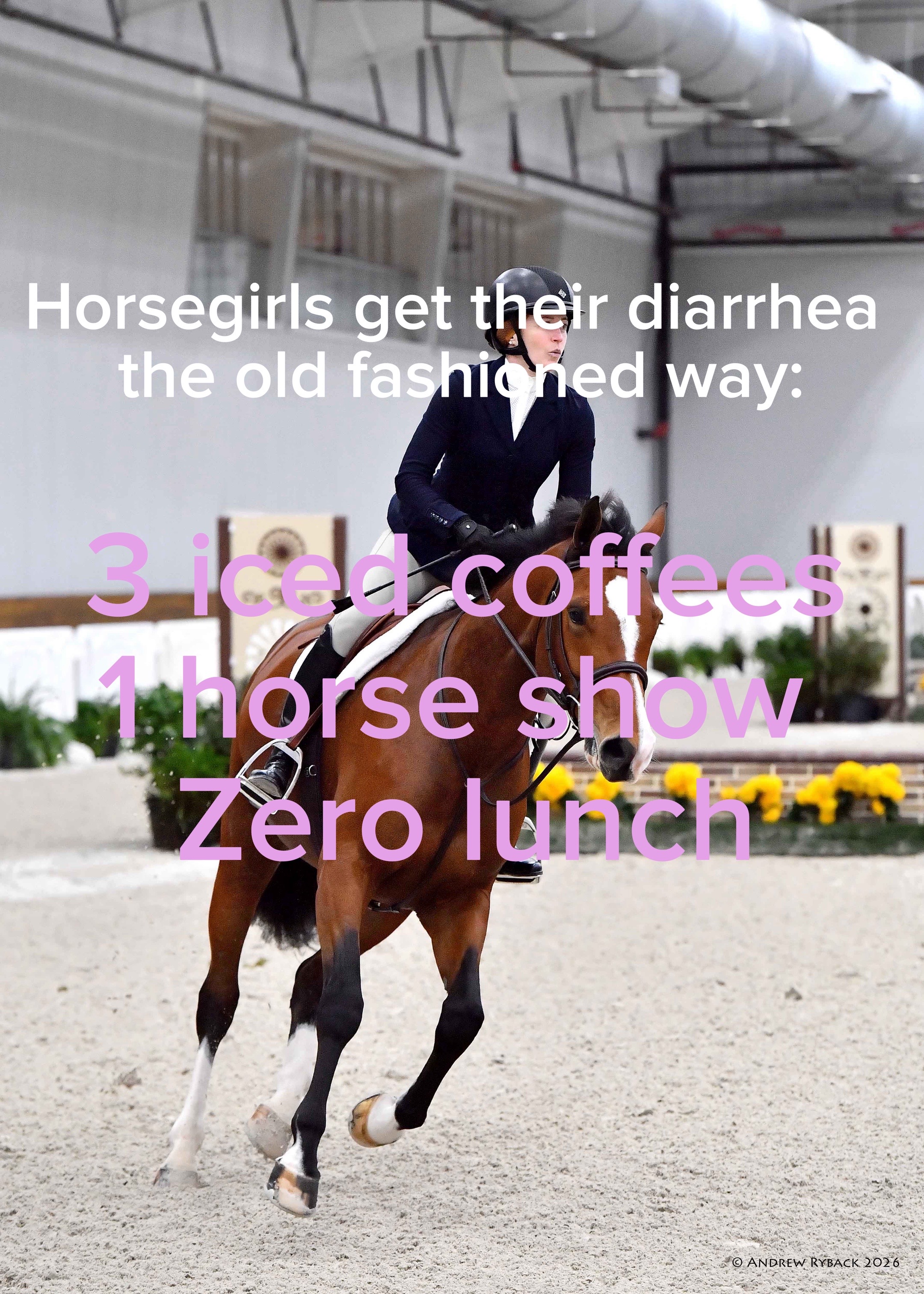 @EM Equestrian