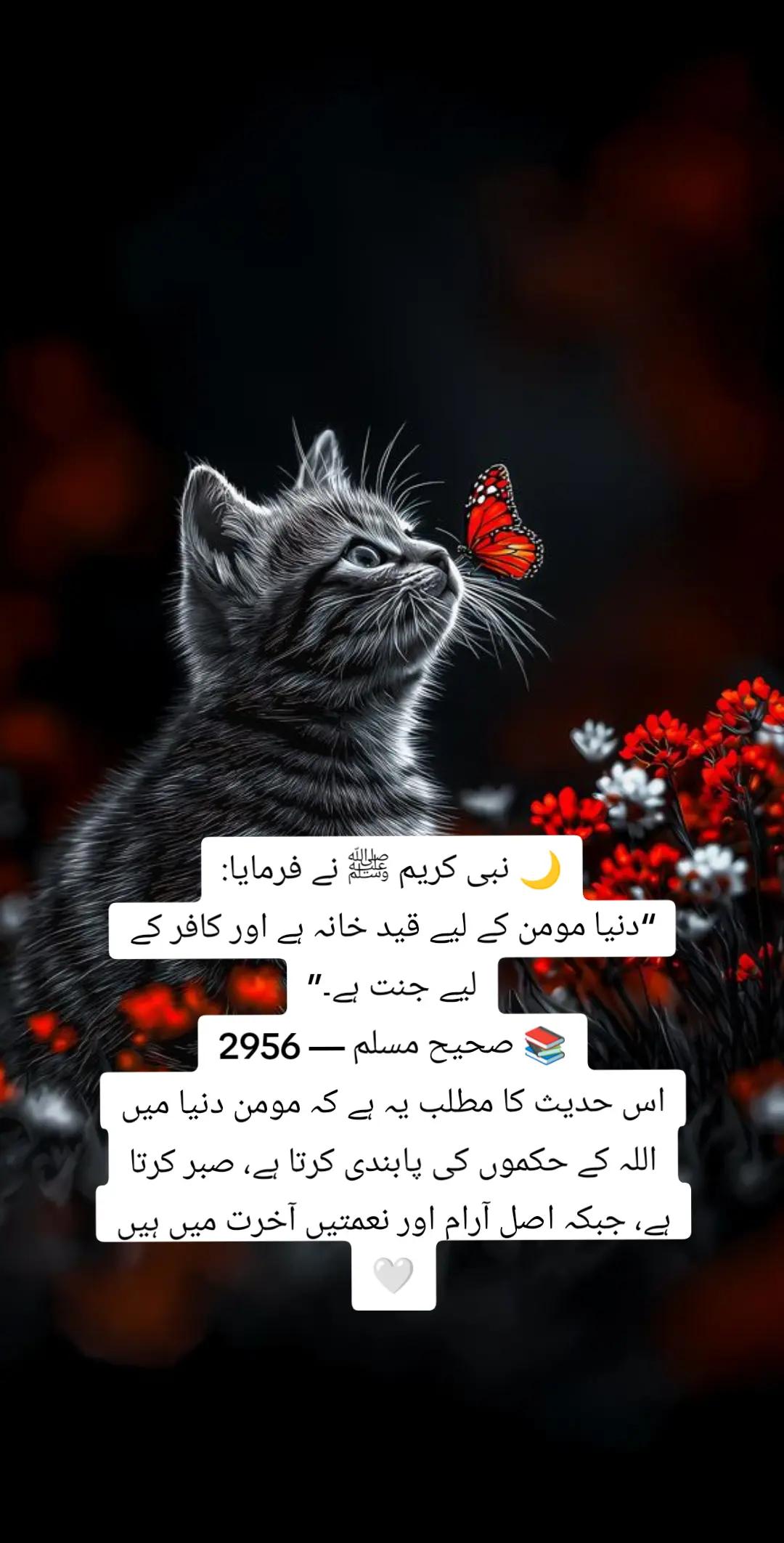 @💪🦅KHÃÑÏ🦅🇵🇰