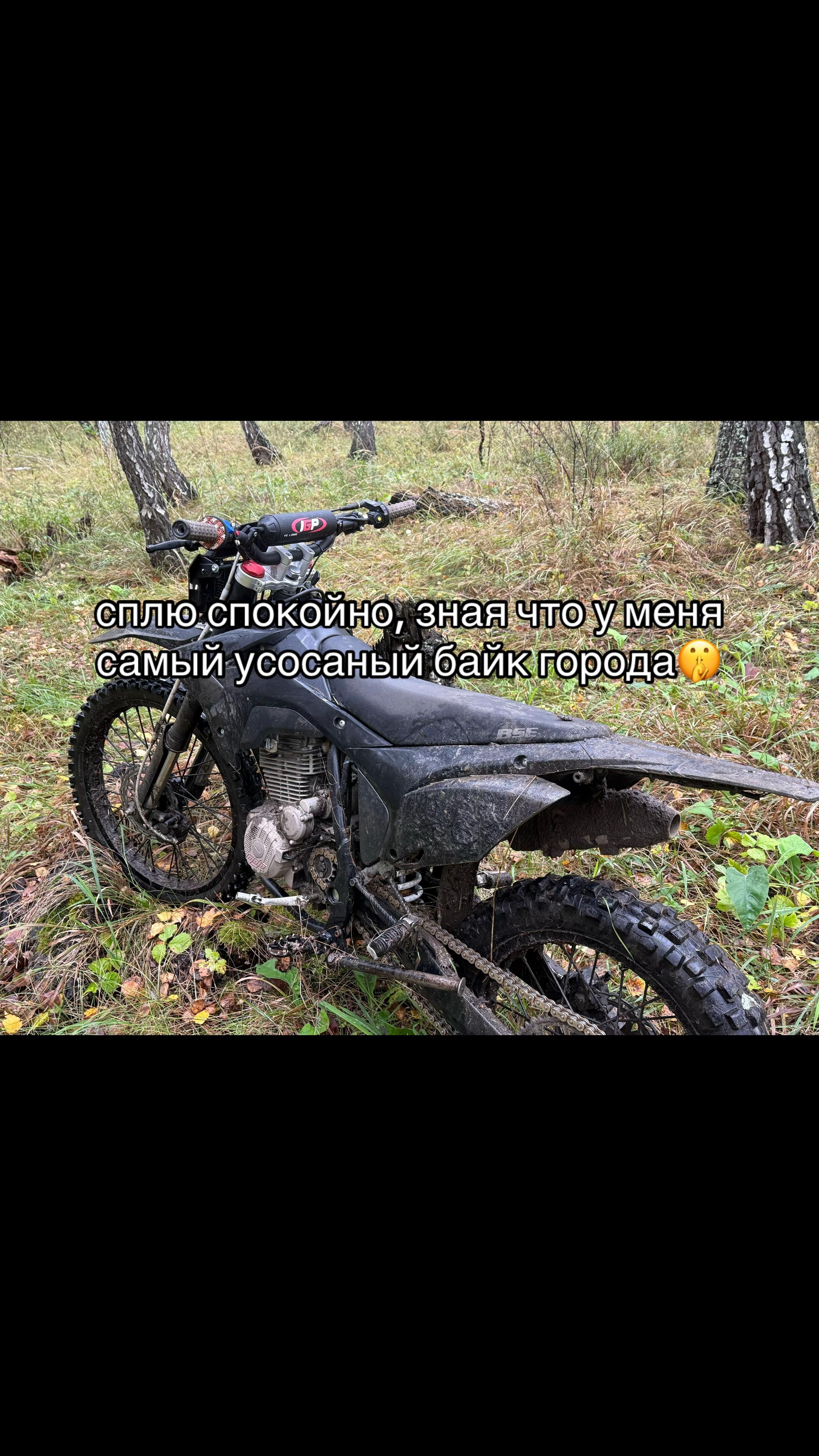 @tgk fuckepiis