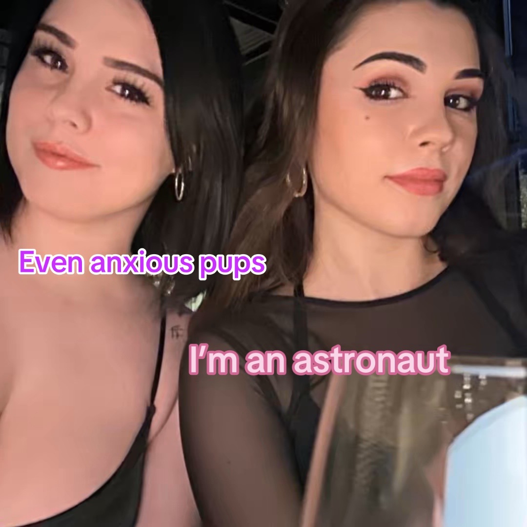 @Bunny